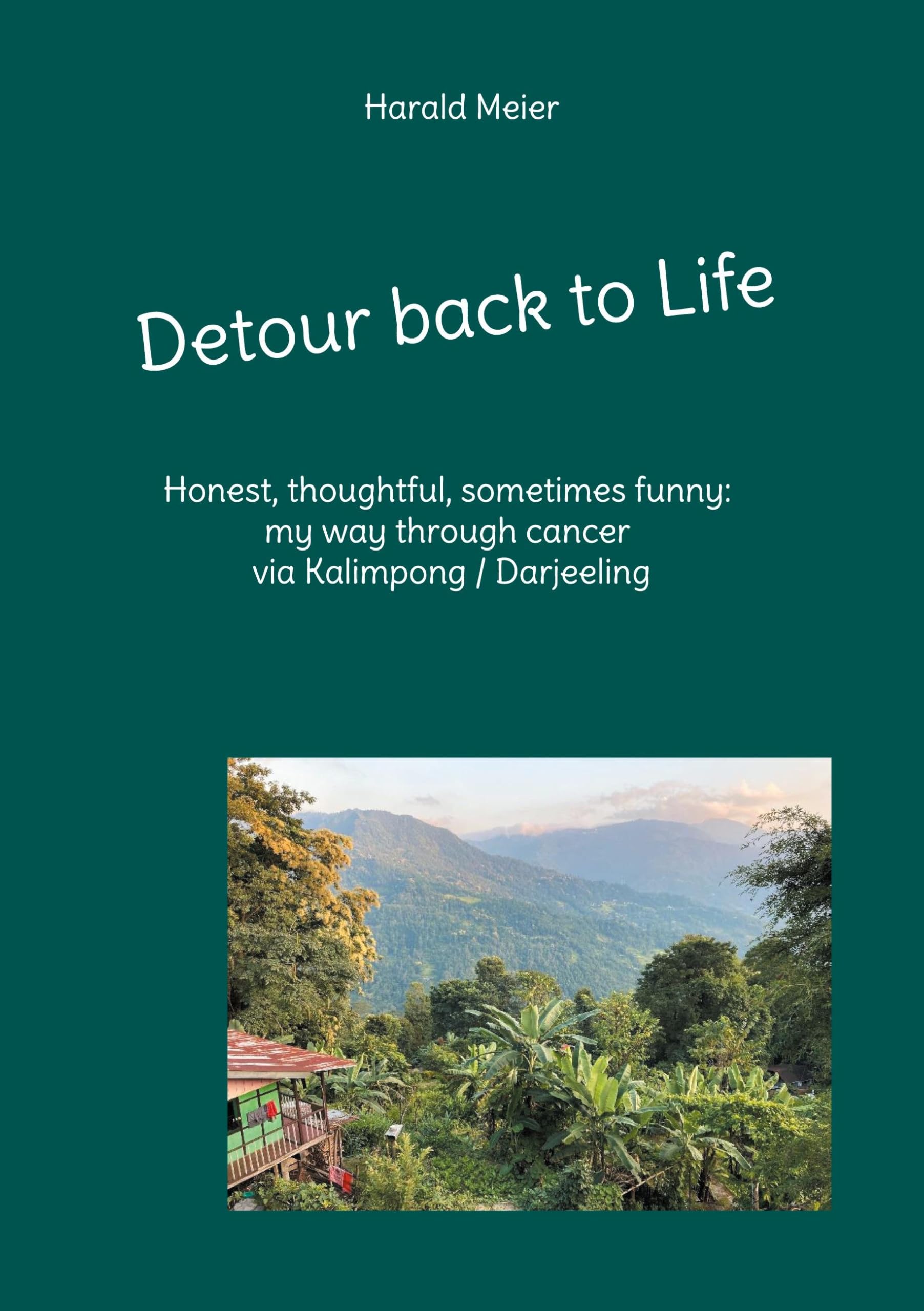 Product Image: Detour back to Life