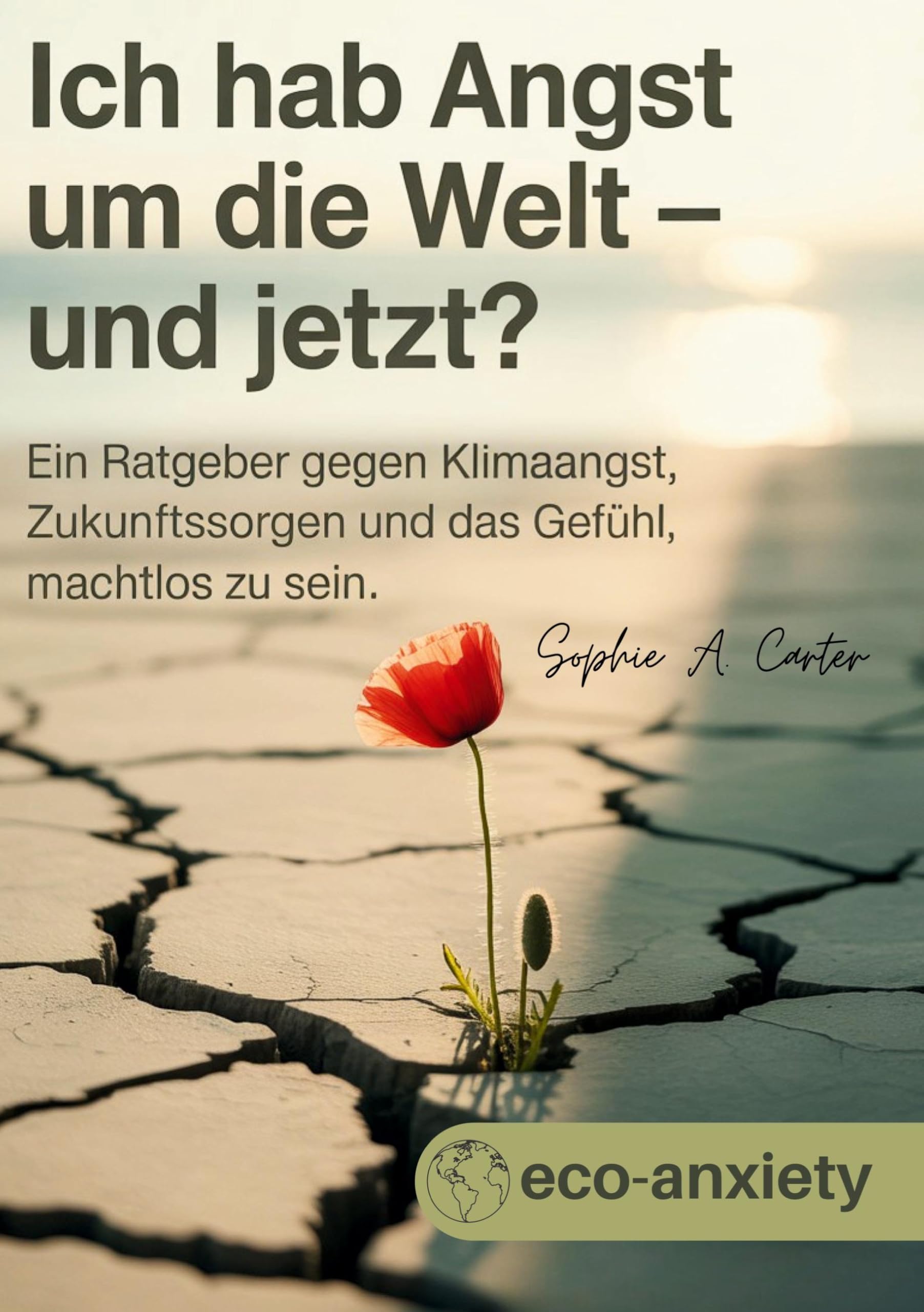 Klimaangst / Ich hab Angst um die Welt und jetzt?: Ein Ratgeber gegen Klimaangst, Zukunftssorgen und das Gefühl, machtlos zu sein Books