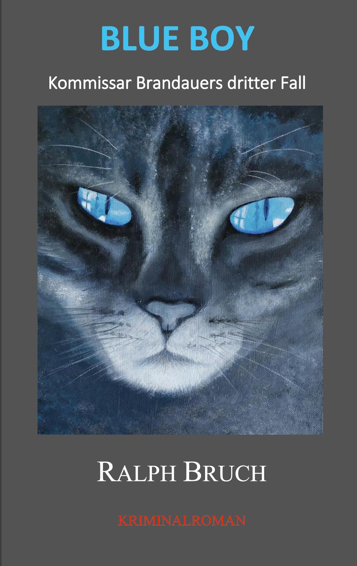 Blue Boy: Kommissar Brandauers dritter Fall (Kommissar Brandauer ermittelt) Contemporary literature