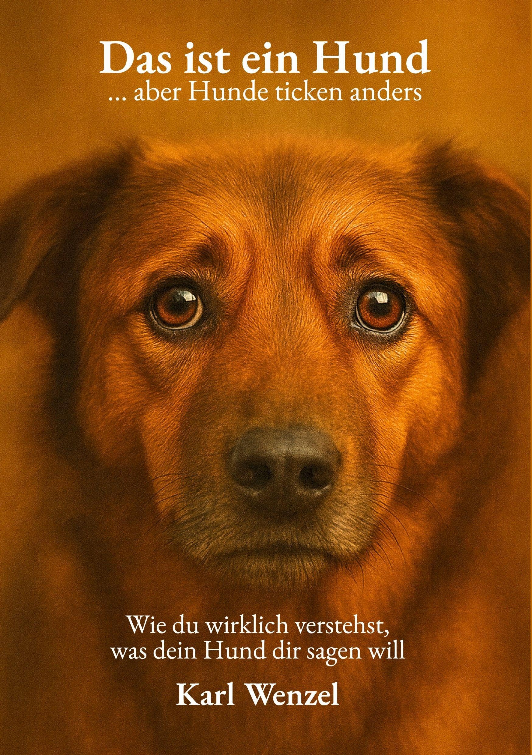 Das ist ein Hund ... aber Hunde ticken anders Pets