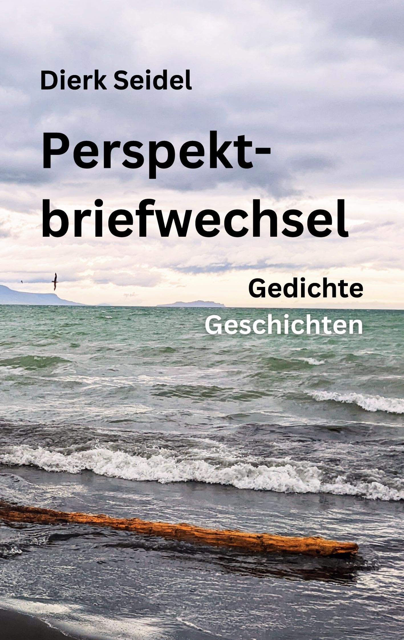 Perspektbriefwechsel Essays & Short Stories
