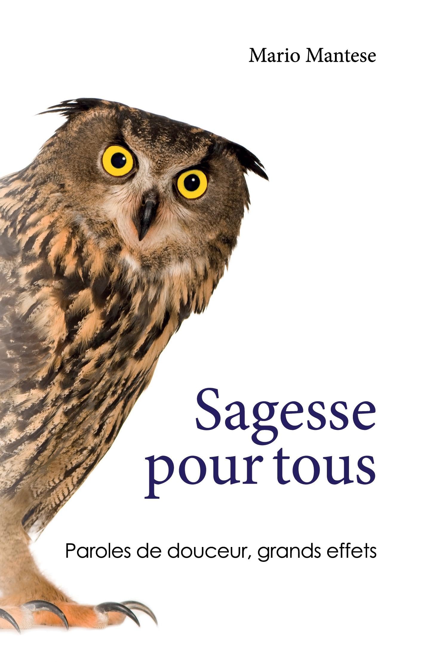 Sagesse pour tous: Paroles de douceur, grands effets Contemporary literature