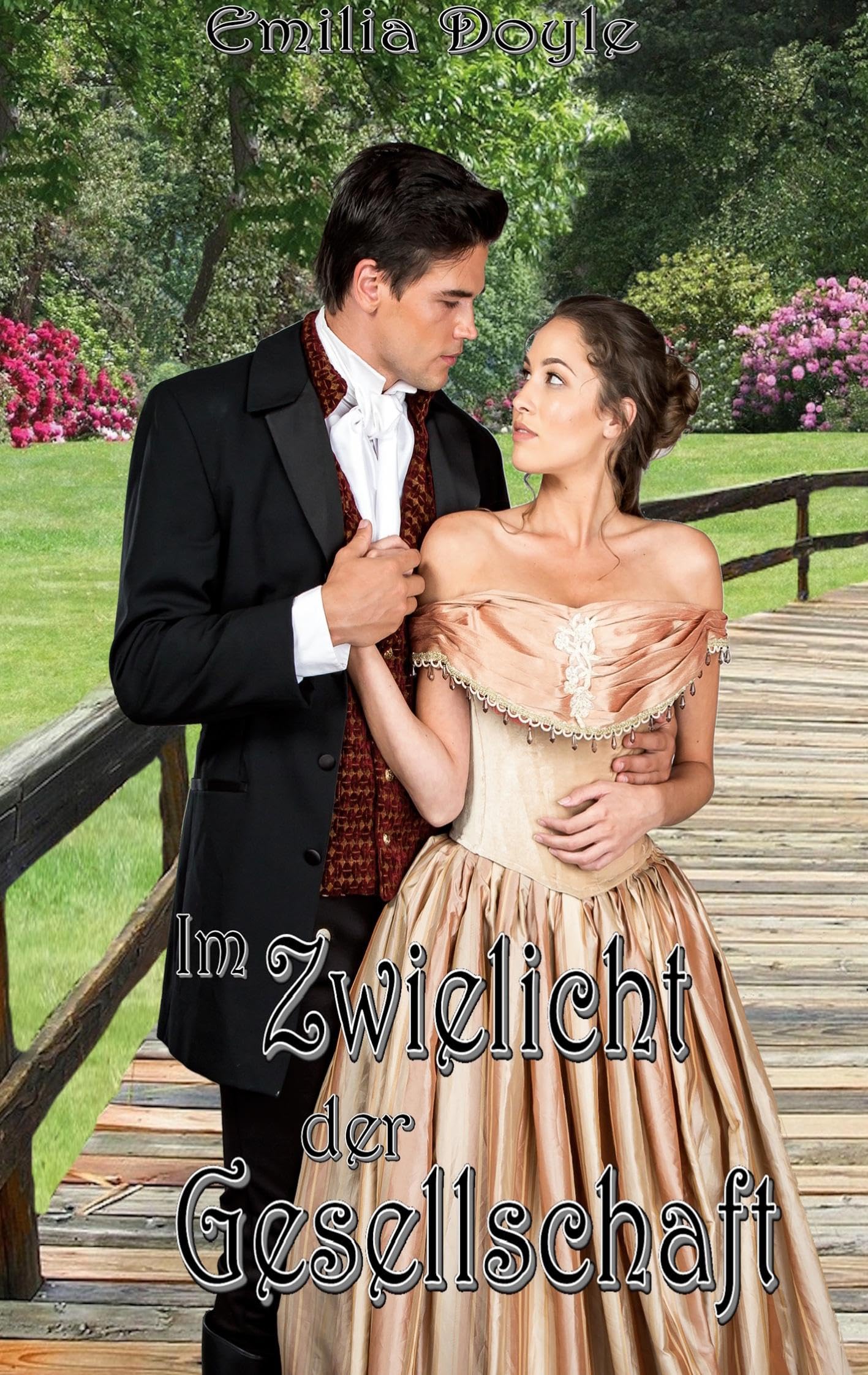 Im Zwielicht der Gesellschaft Historical Fiction