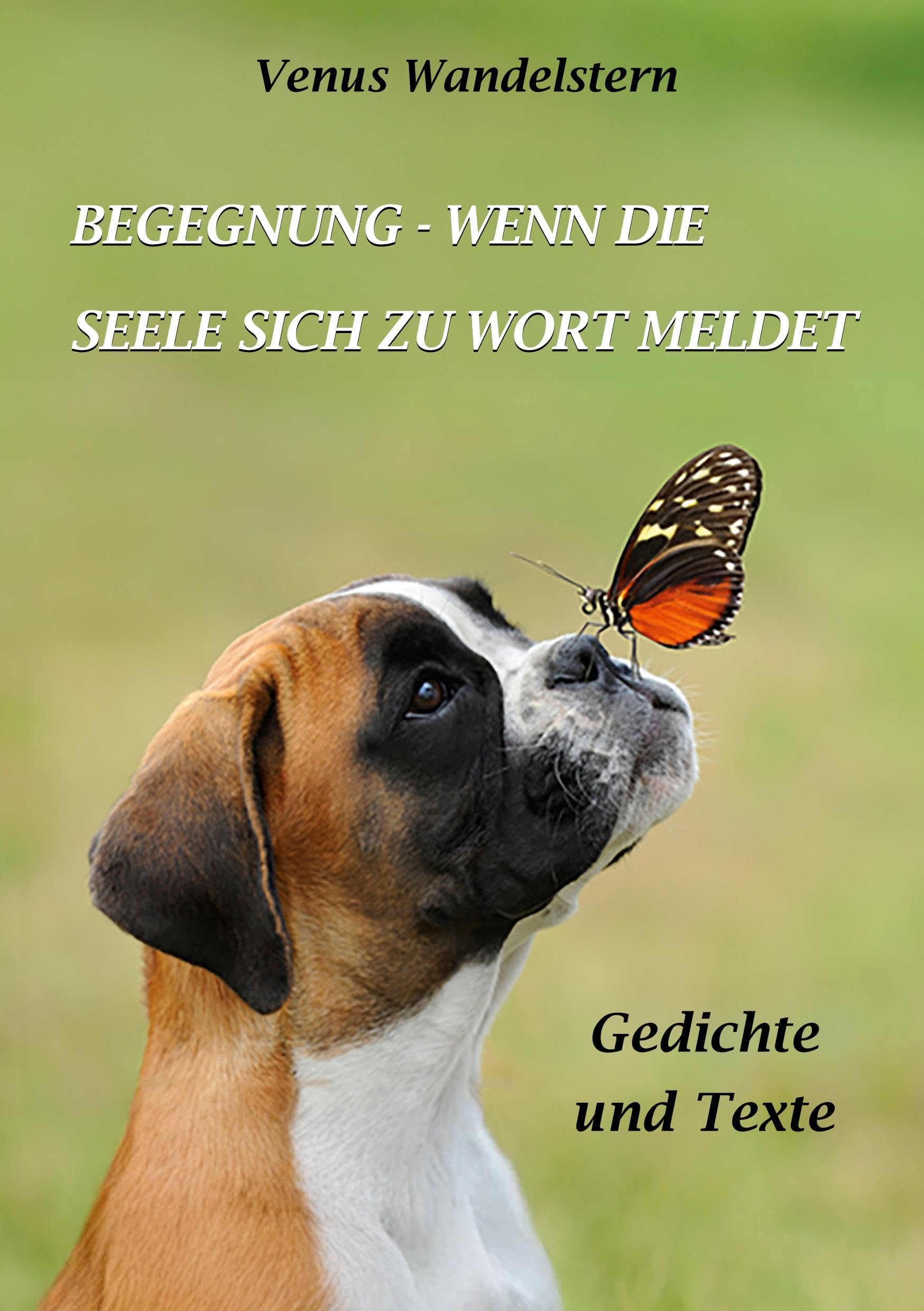 Begegnung - wenn die Seele sich zu Wort meldet Poetry