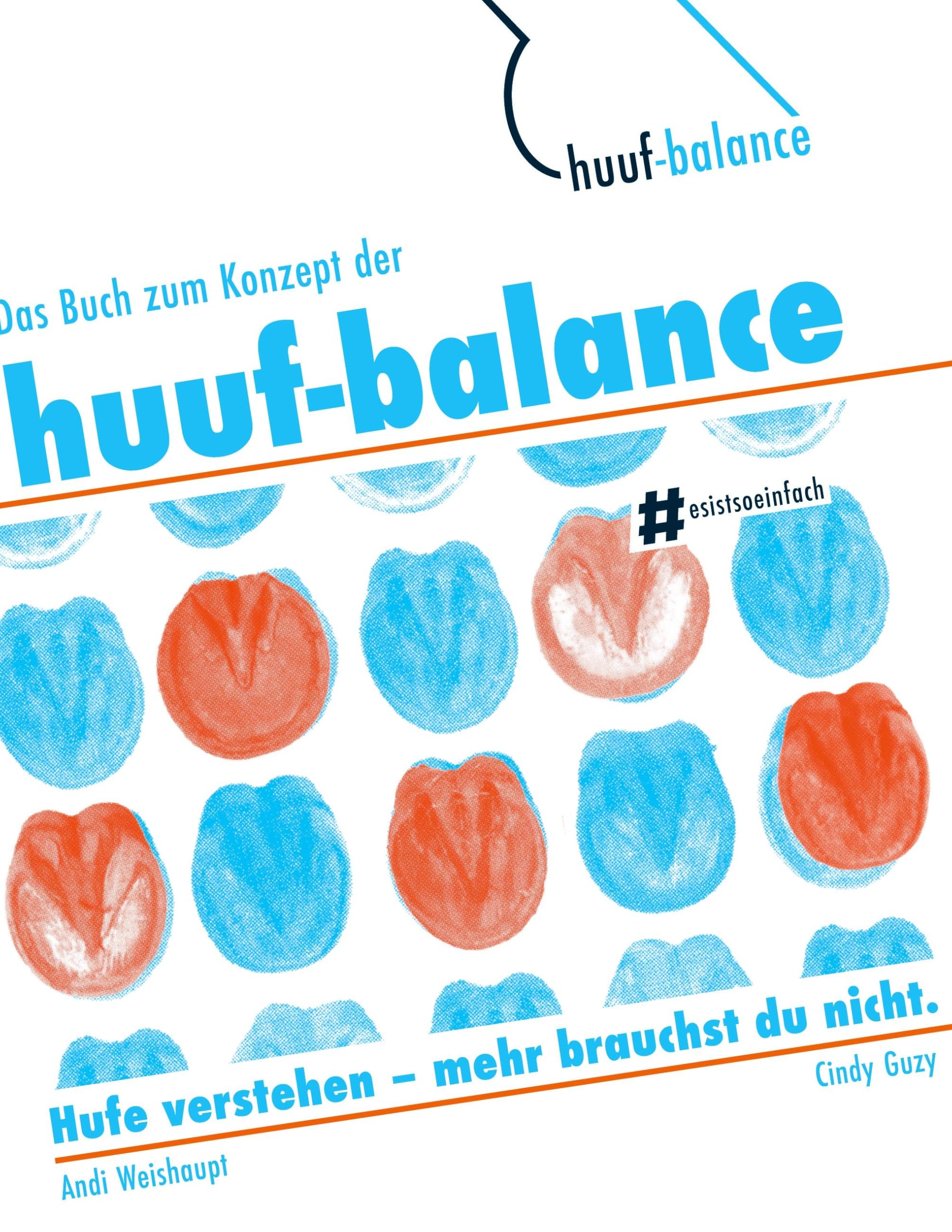 Das Buch zum Konzept der huuf-balance Medicine