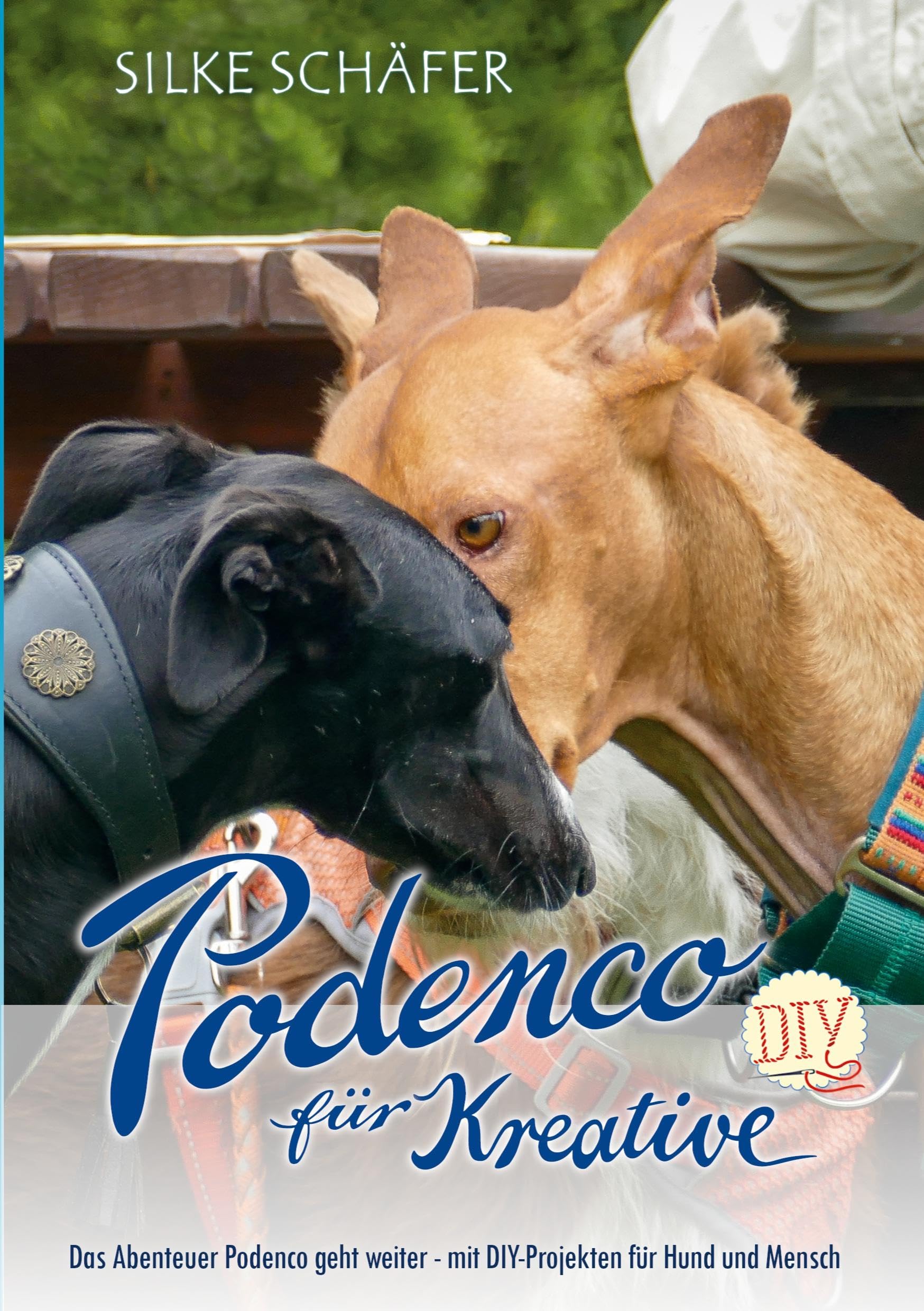 Podenco für Kreative Pets