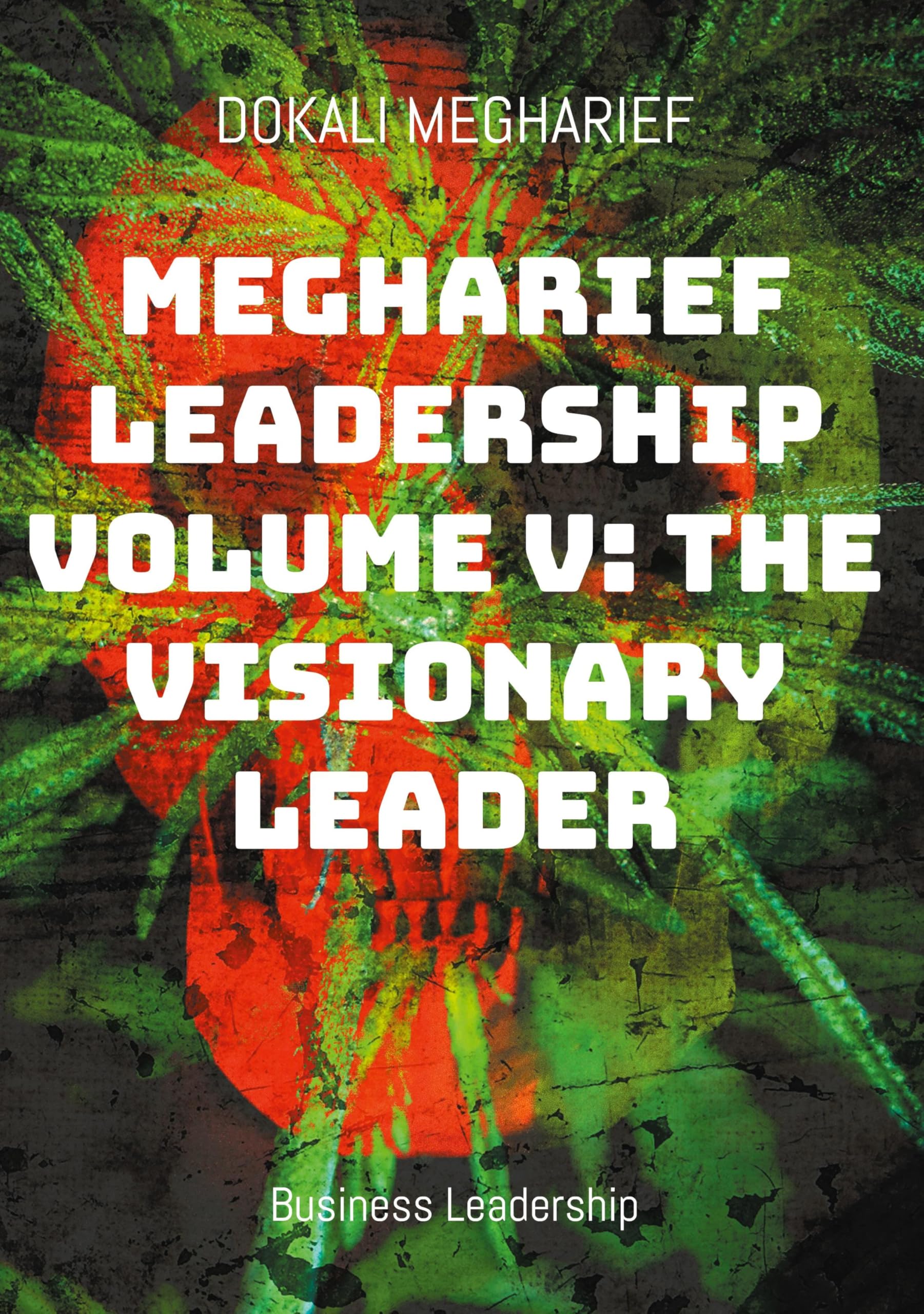 Megharief Leadership Volume V: The Visionary Leader Law