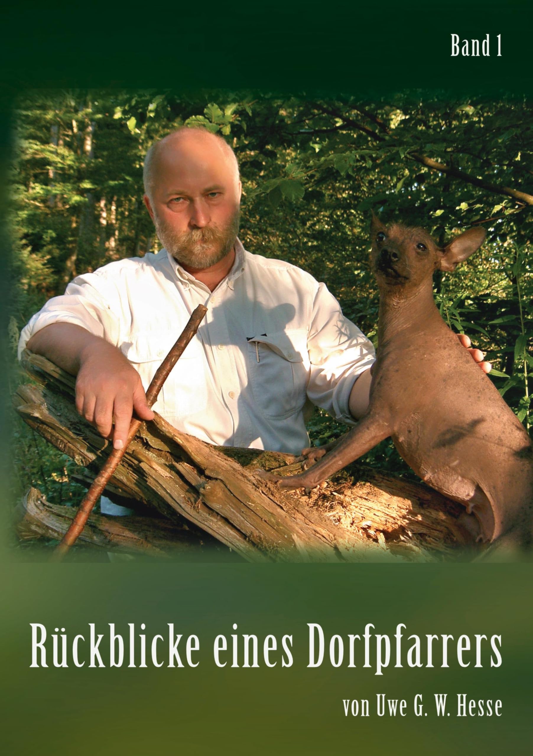 Rückblicke eines Dorfpfarrers Art & Literature