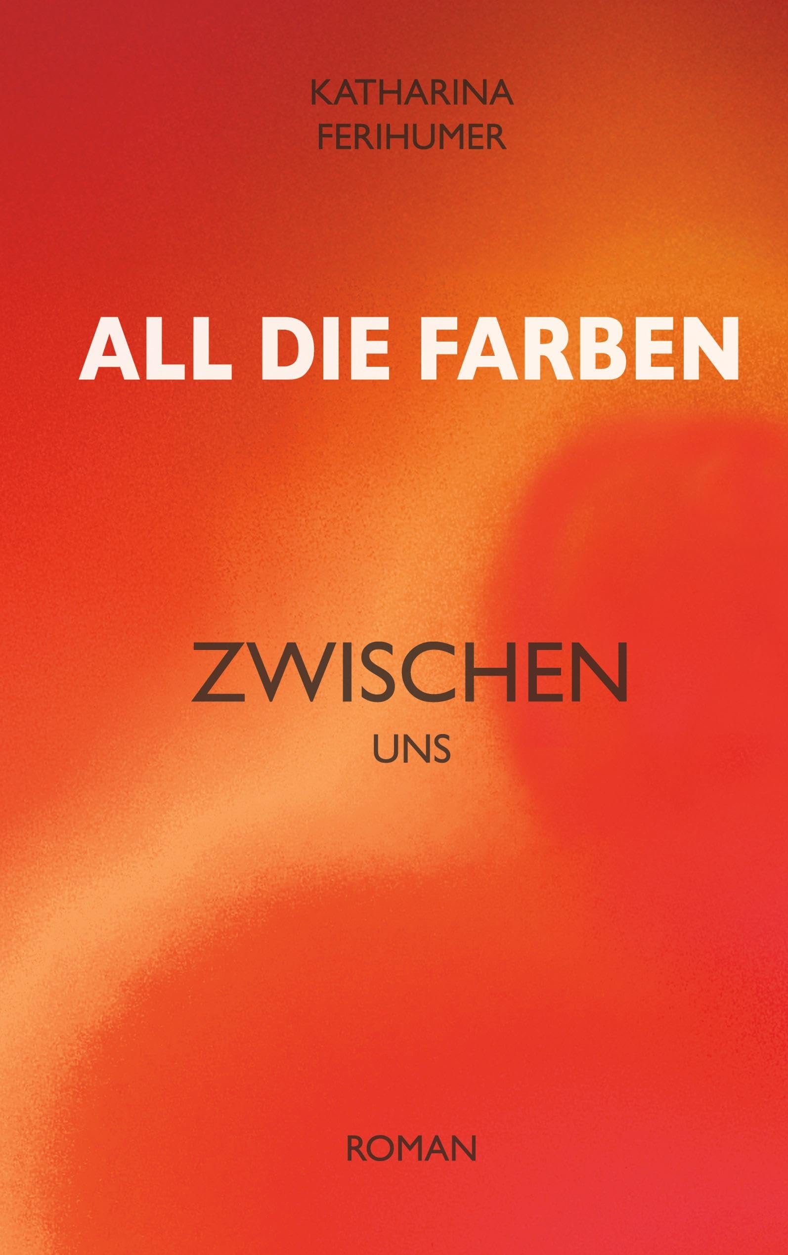 All die Farben zwischen uns Contemporary literature
