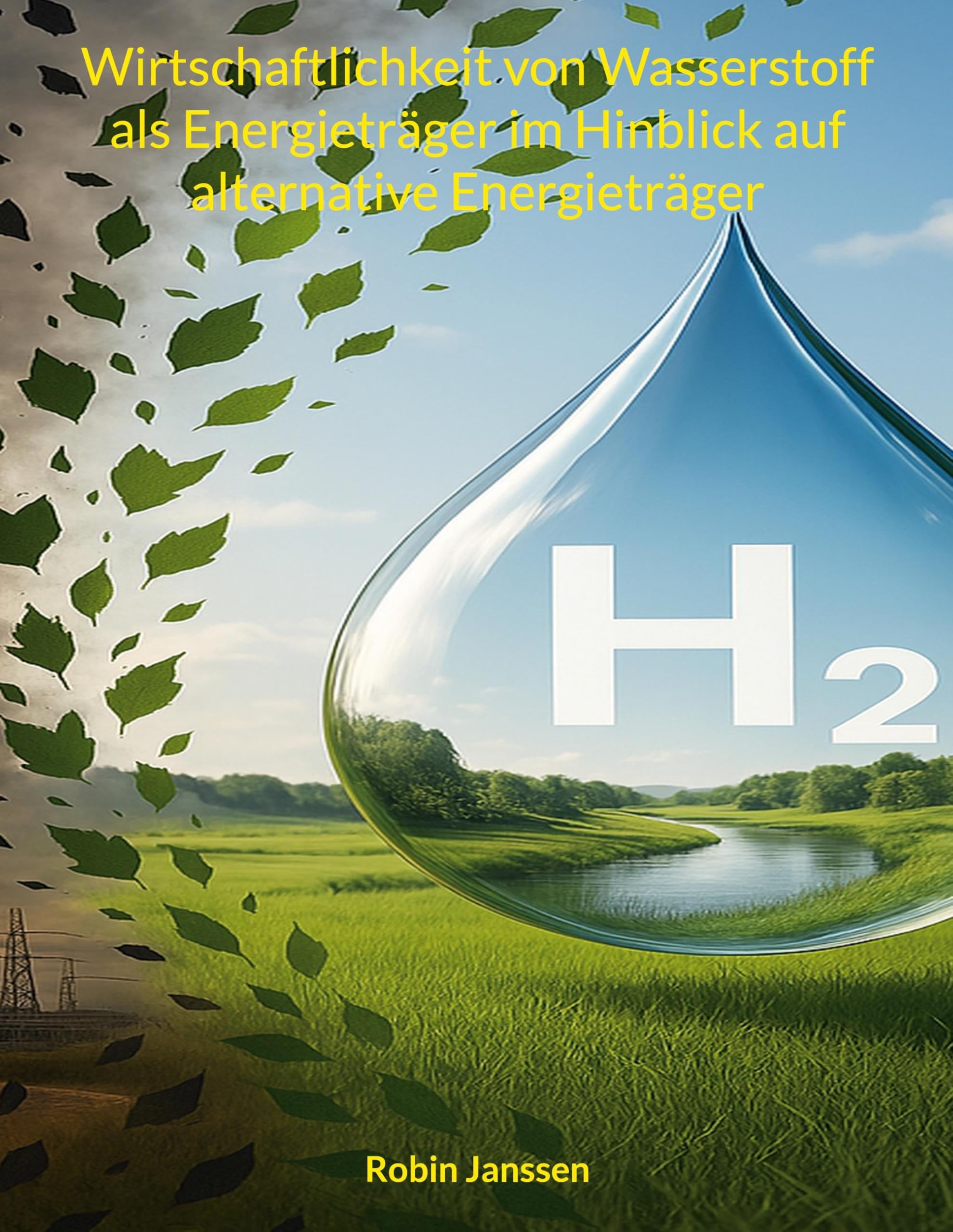 Wirtschaftlichkeit von Wasserstoff als Energieträger im Hinblick auf alternative Energieträger Business, Finance & Career