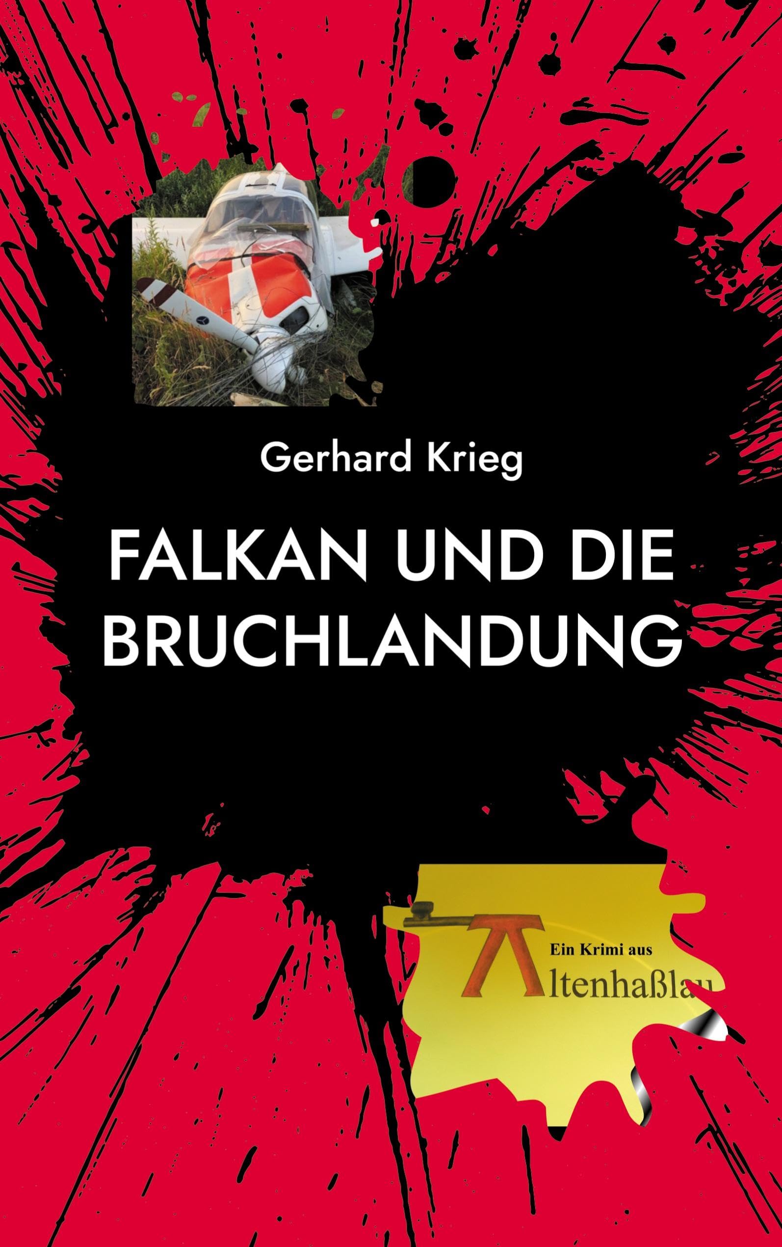 Falkan und die Bruchlandung Contemporary literature