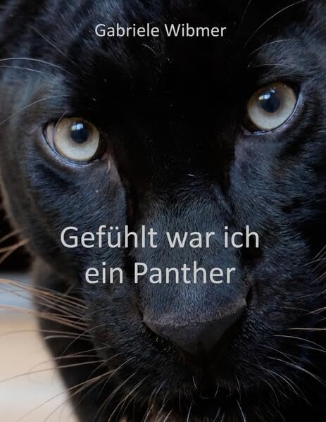 Gefühlt war ich ein Panther Essays & Short Stories