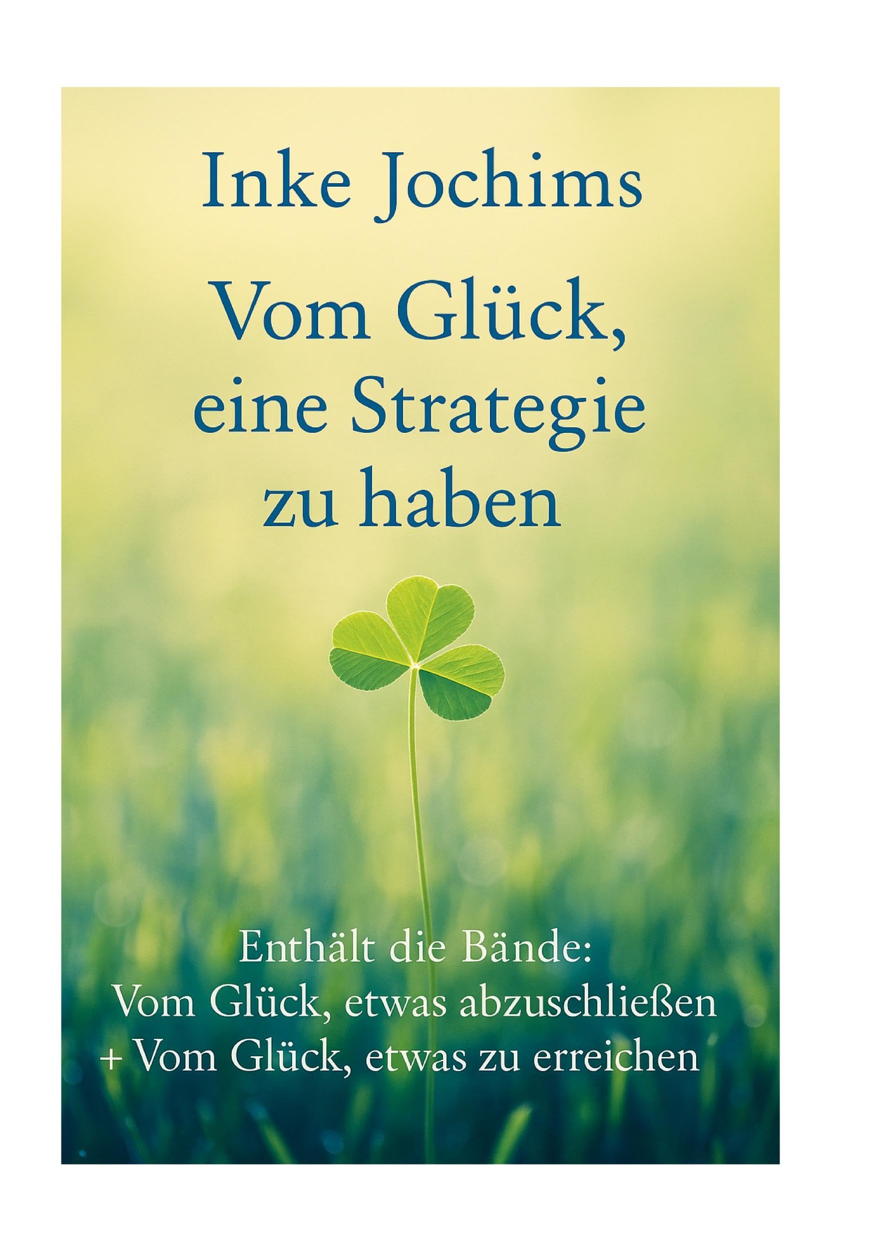 Vom Glück, eine Strategie zu haben Business, Finance & Career