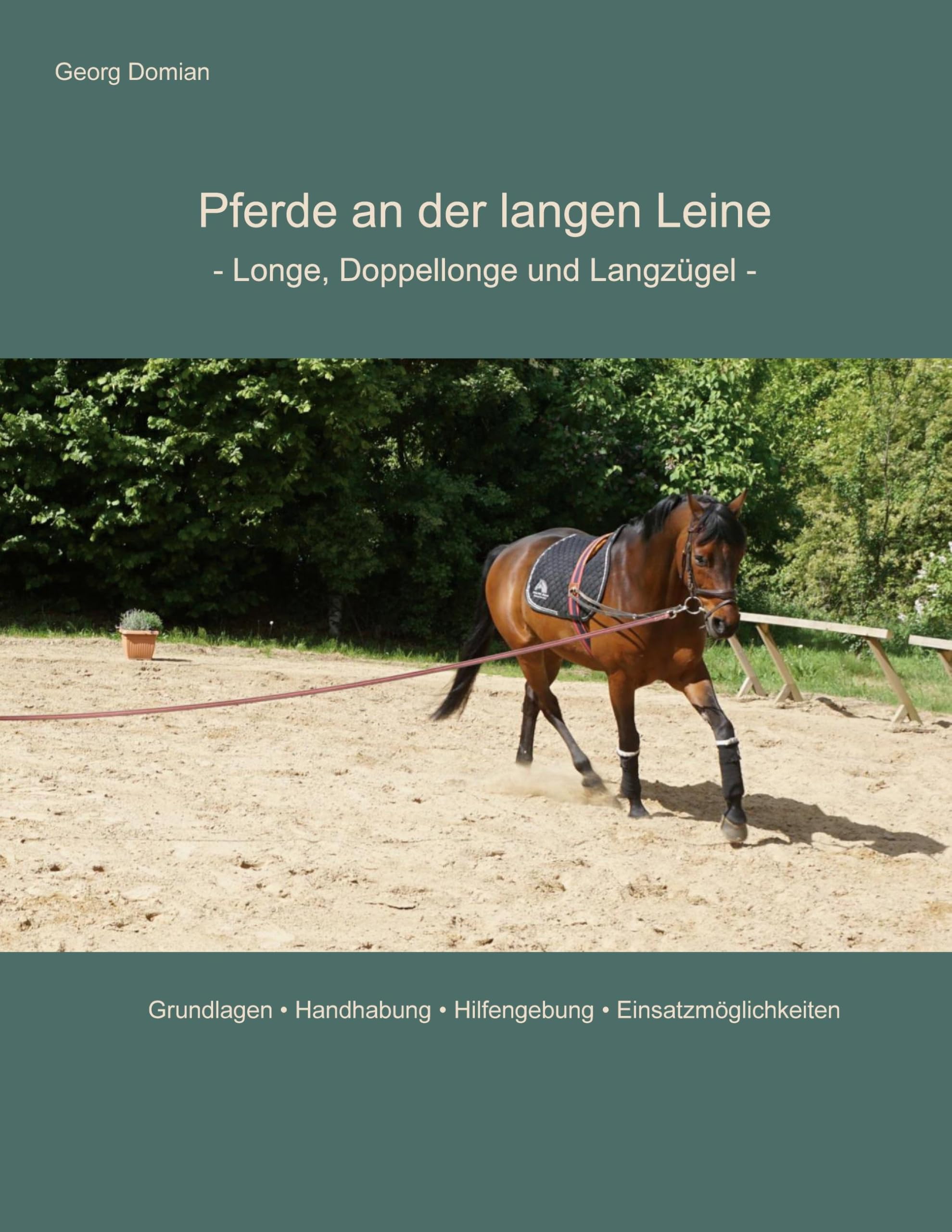 Pferde an der langen Leine Pets
