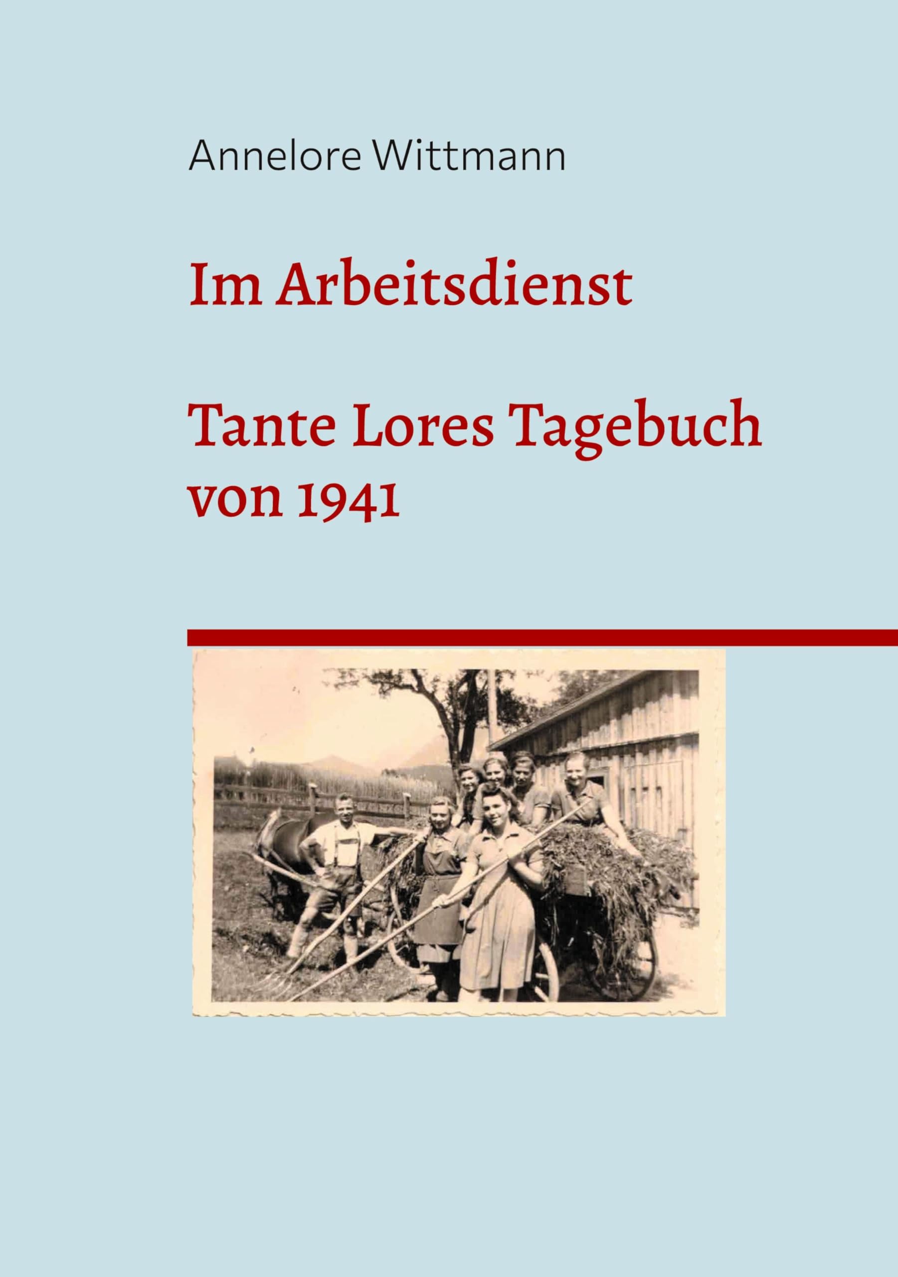 Product Image: Im Arbeitsdienst