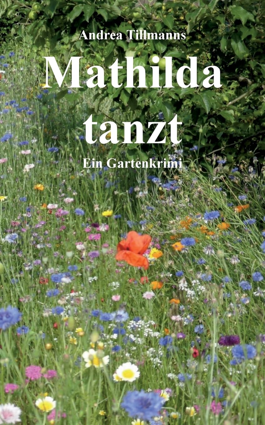 Mathilda tanzt Contemporary literature Books