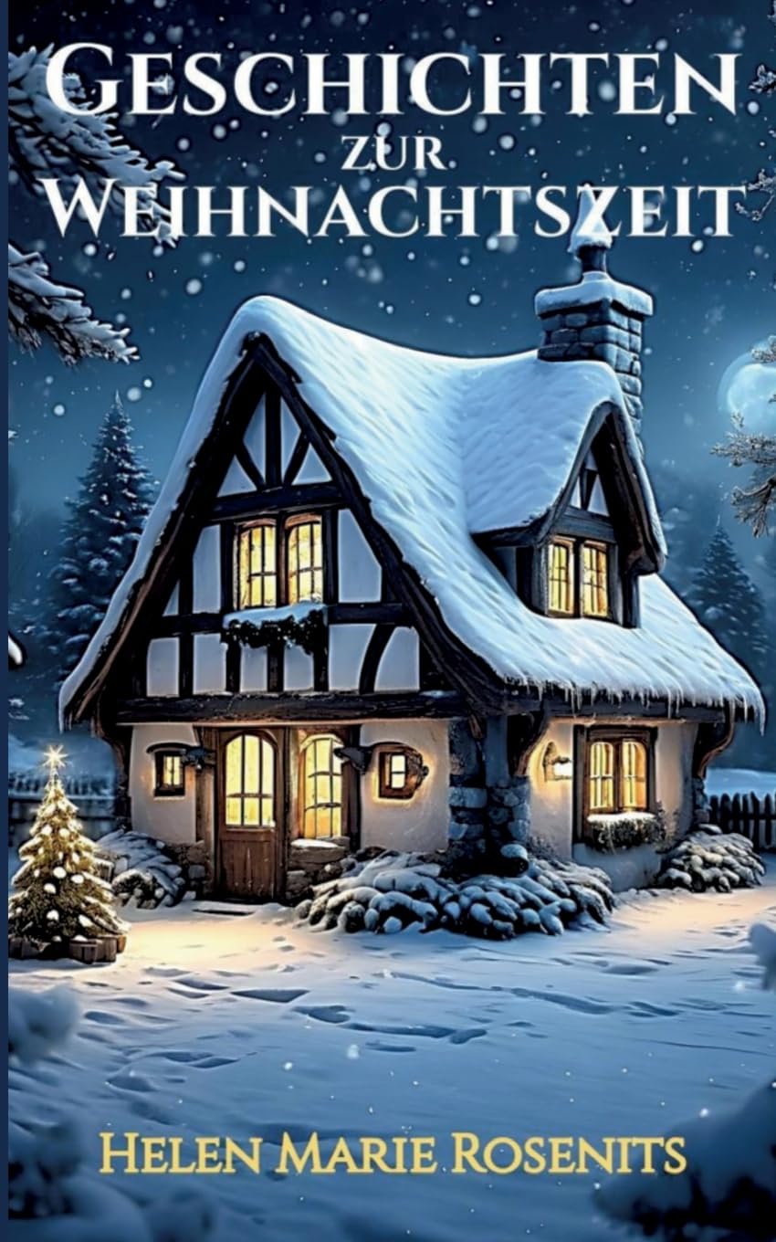 Geschichten zur Weihnachtszeit Contemporary literature