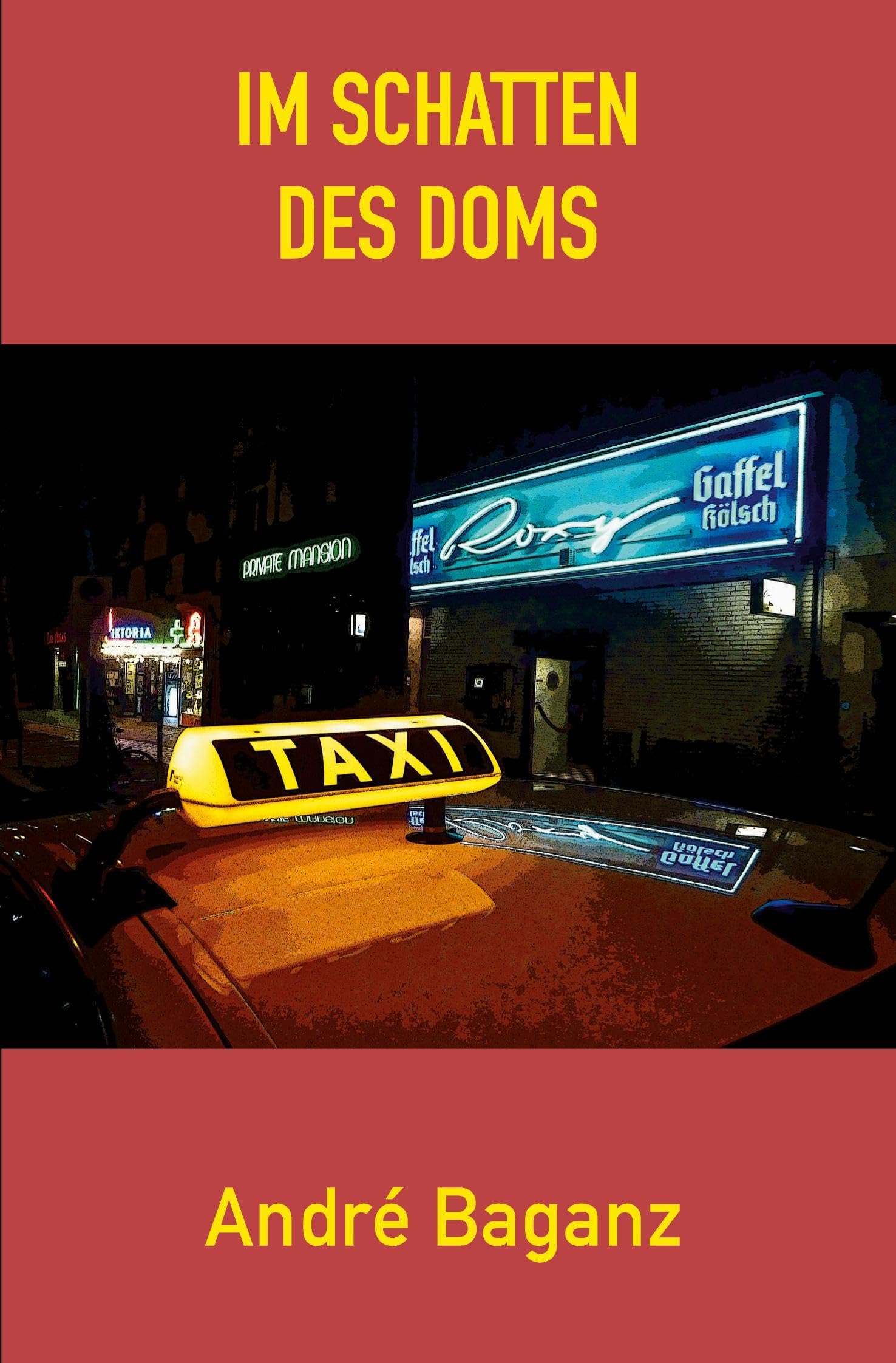 Im Schatten des Doms Contemporary literature Books