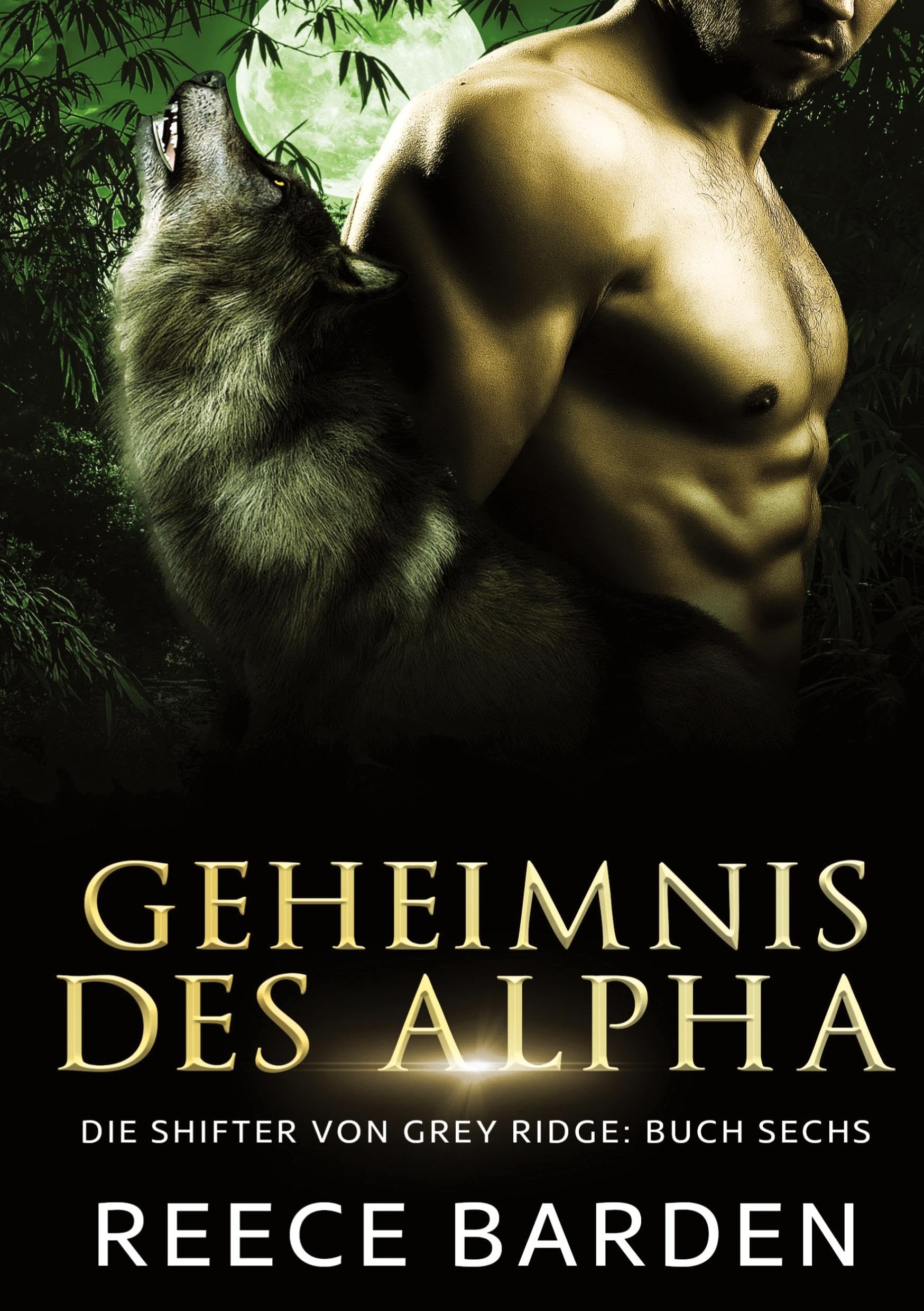 Geheimnis des Alphas: Ein paranormaler, romantischer Wolfshifter Roman Contemporary literature