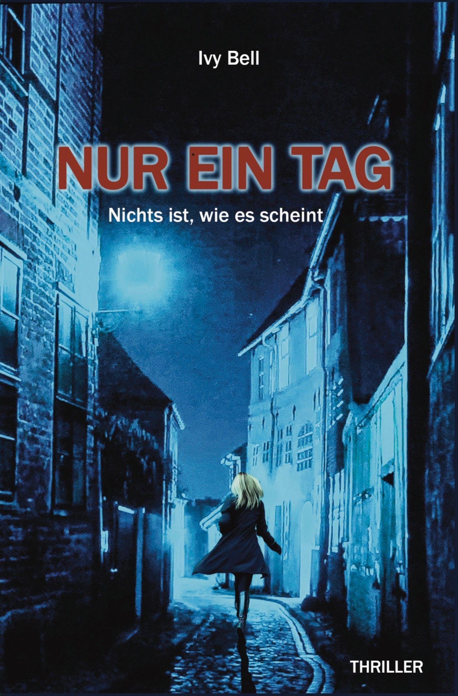 Nur ein Tag - Nichts ist, wie es scheint Contemporary literature