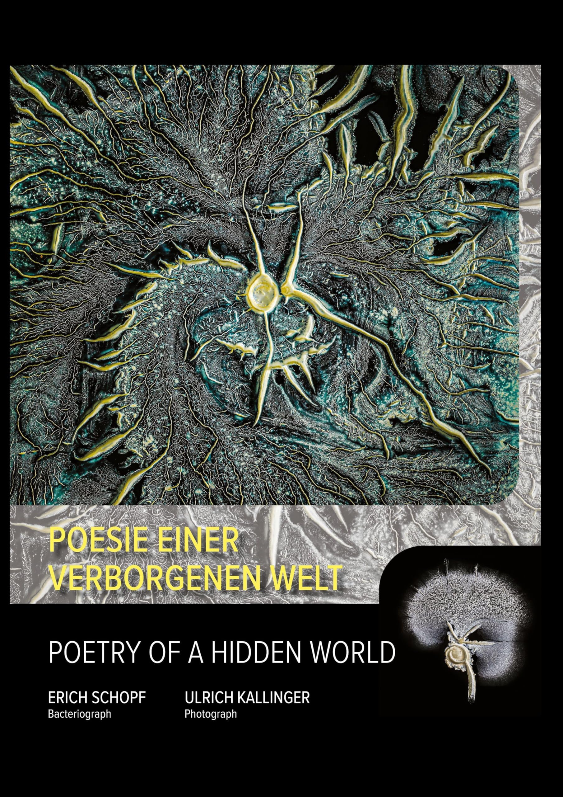 Poesie einer verborgenen Welt - Makroaufnahmen von Mikroorganismen Photography