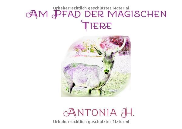 Am Pfad der magischen Tiere Pets