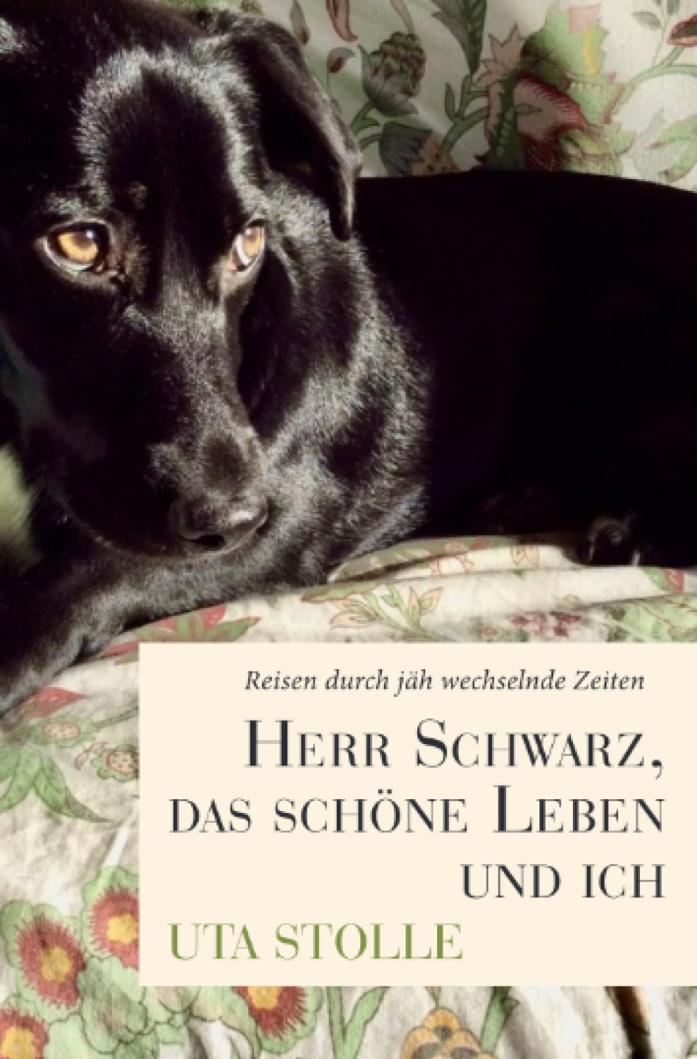 Herr Schwarz, das schöne Leben und ich: REISEN DURCH JÄH WECHSELNDE ZEITEN Humour & Satire