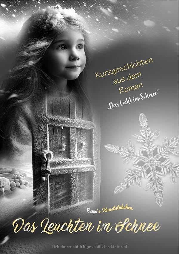 Das Licht im Schnee / Das Leuchten im Schnee: Kurzgeschichten Contemporary literature