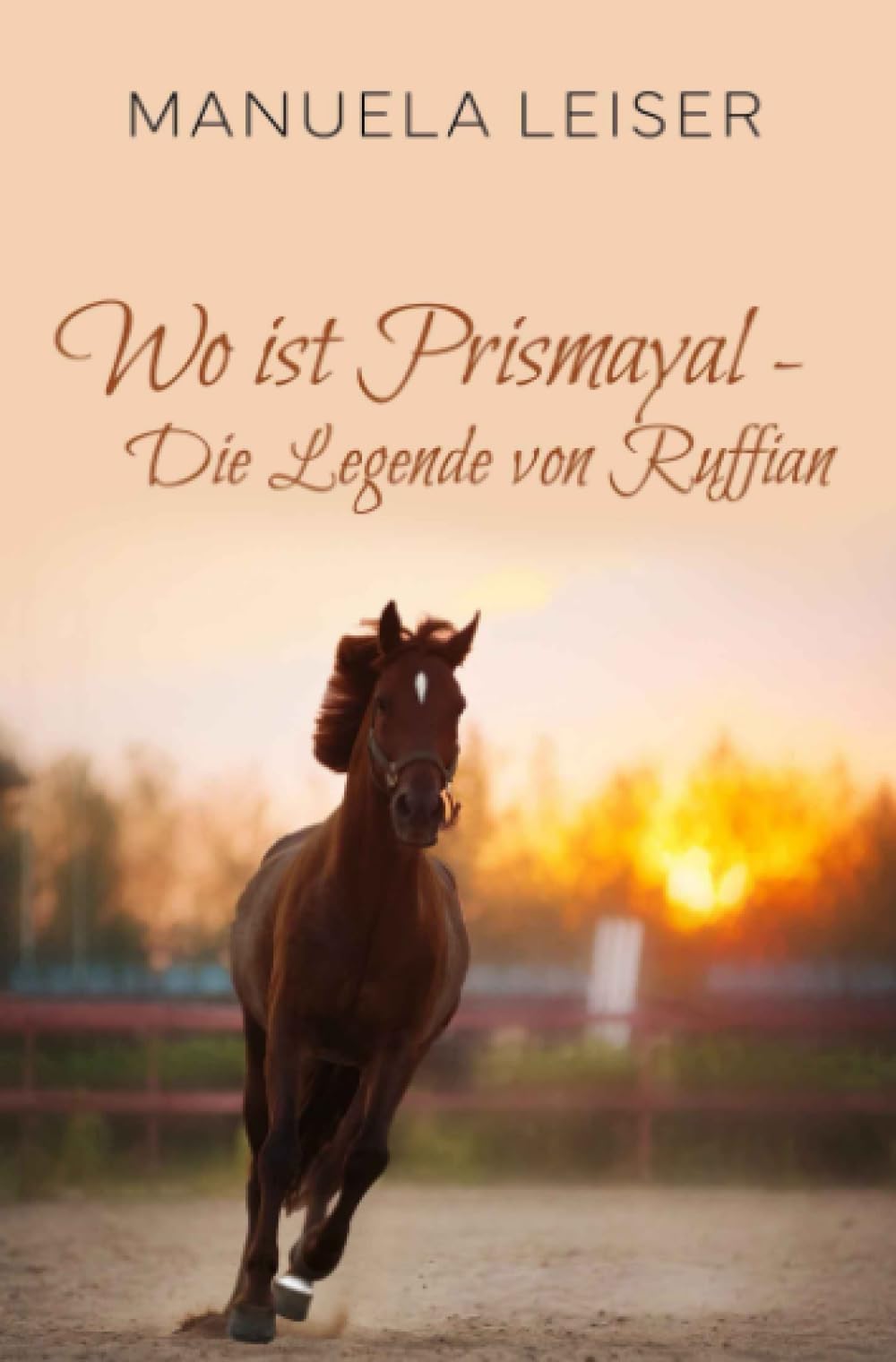 Wo ist Prismayal - die Legende von Ruffian Contemporary literature