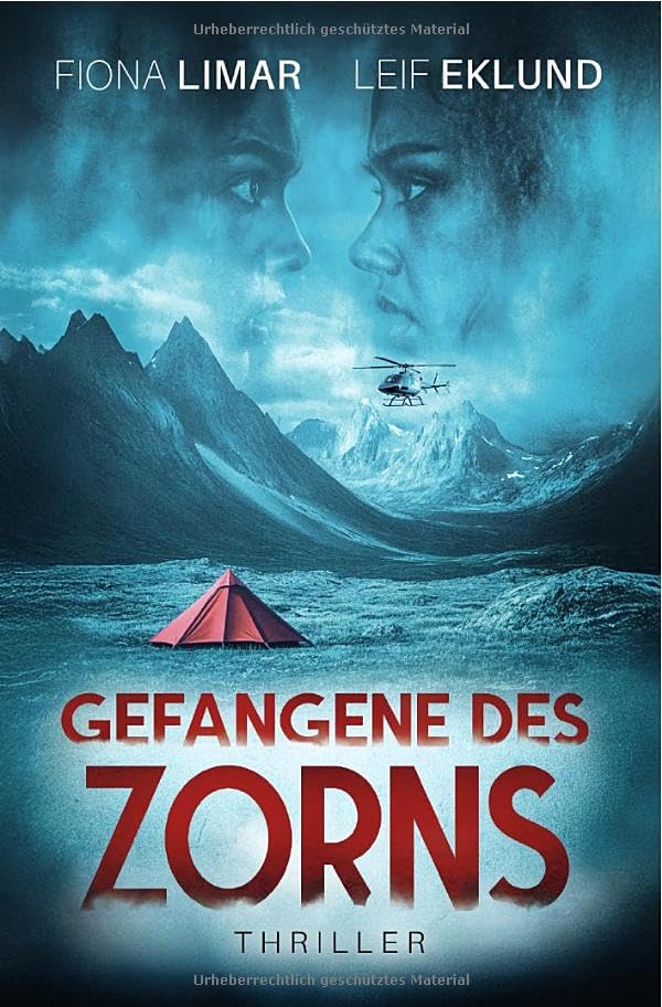 Schwedenthriller / Gefangene des Zorns: Schwedenthriller book
