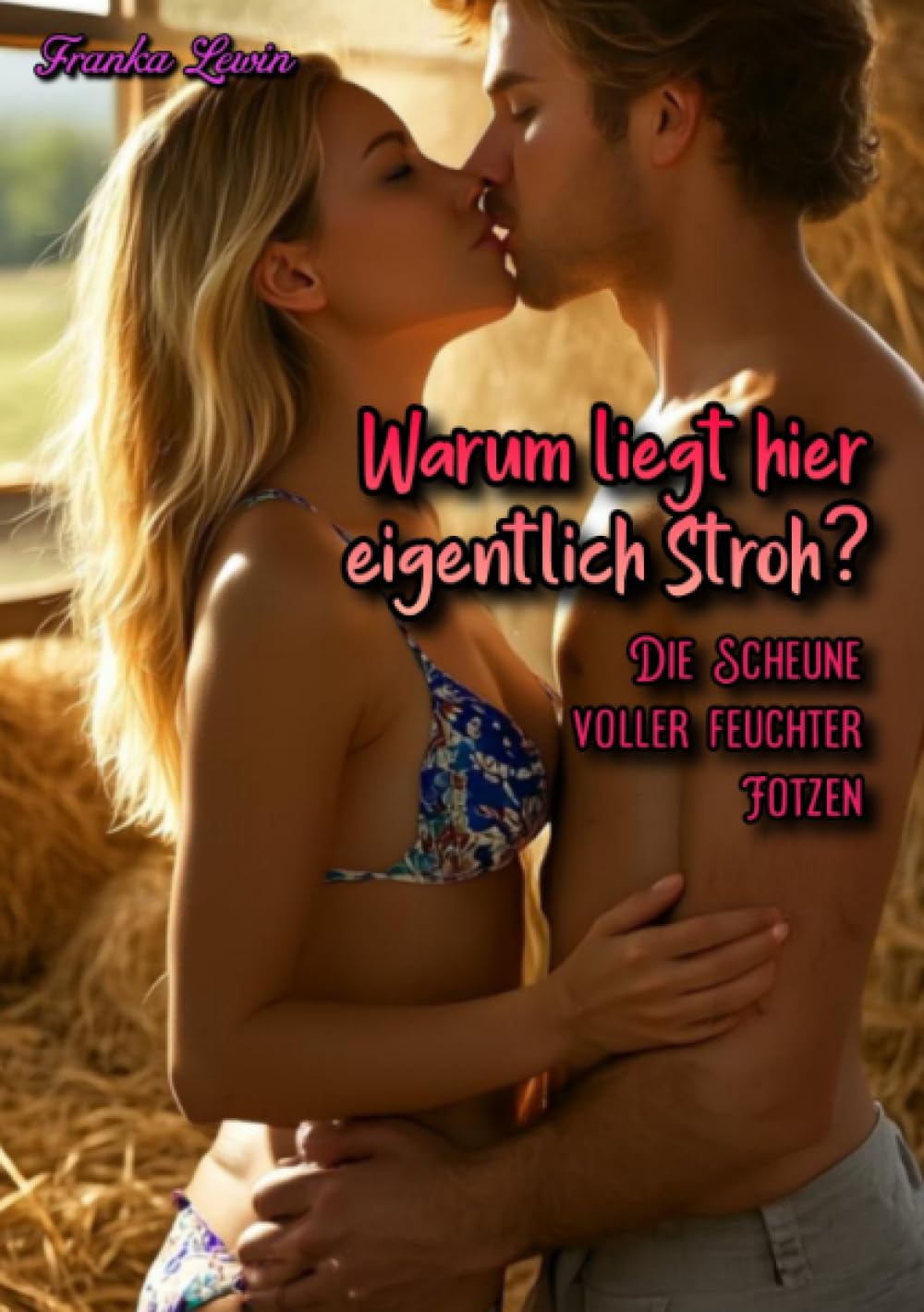 Warum liegt hier eigentlich Stroh?: Die Scheune voller feuchter Fotzen Action & Adventure
