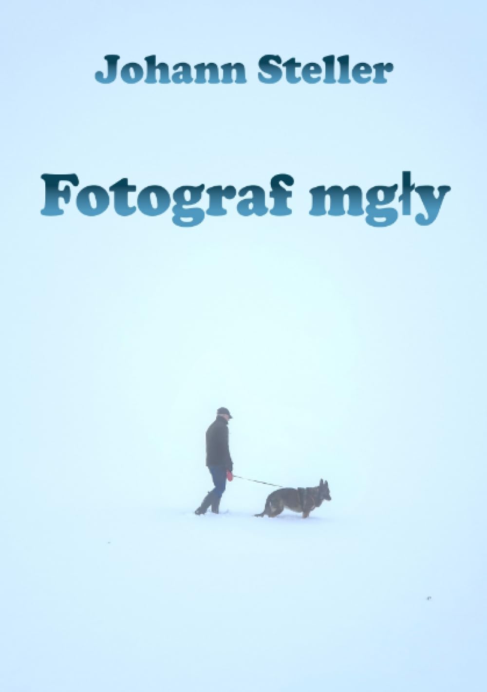 Fotograf mgły: DE Contemporary literature