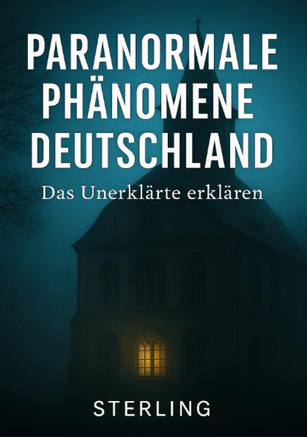 Paranormale Phänomene Deutschland I Das Unerklärte erklären: Geister, Stimmen, Präsenz – paranormale Erlebnisse zwischen Realität und Deutung Business & Technology