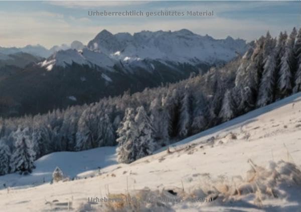 Kalender 2026 – Individueller Planer für Ihre Notizen und Ideen Living & Furnishing