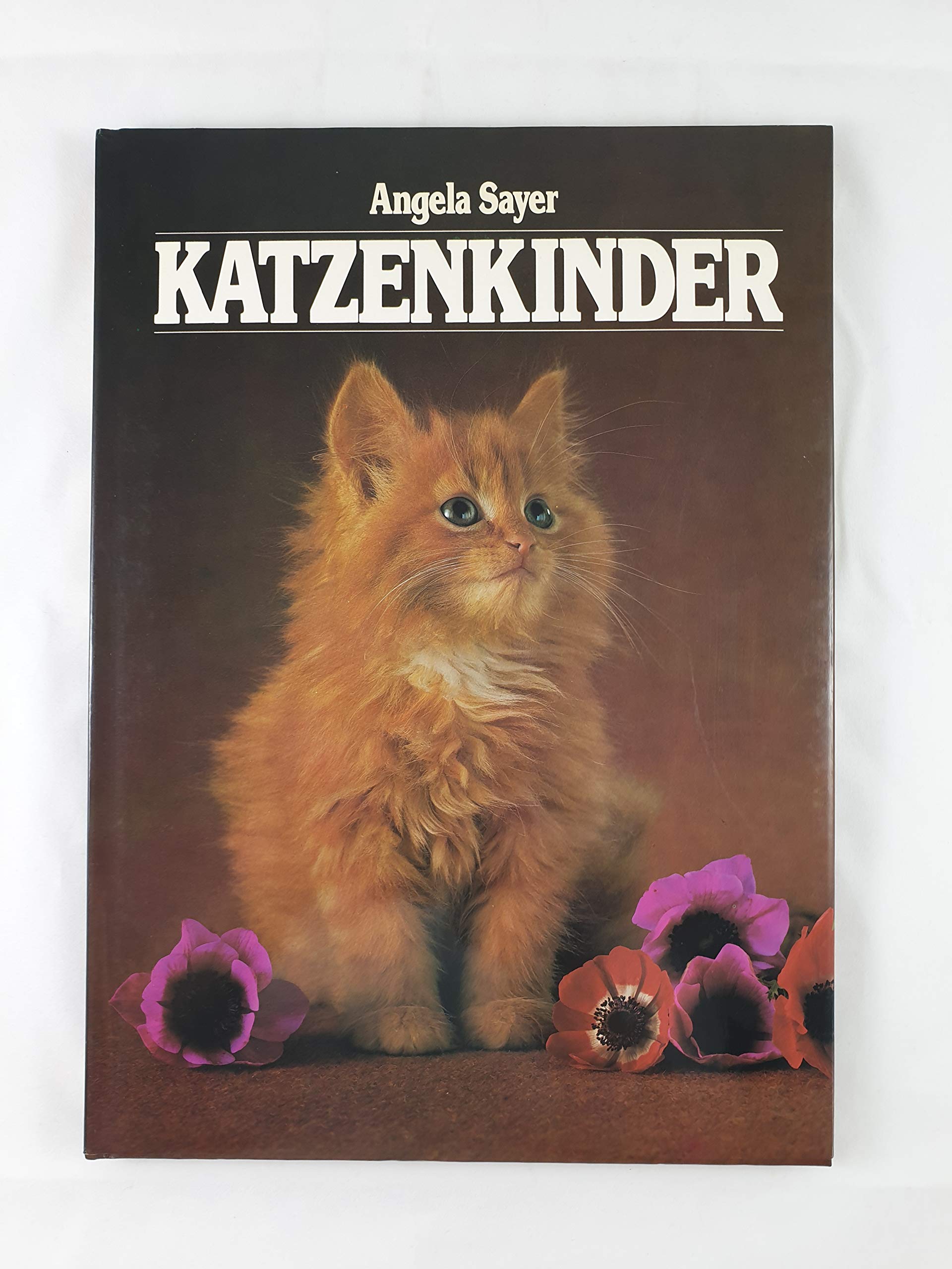 Product Image: Katzenkinder