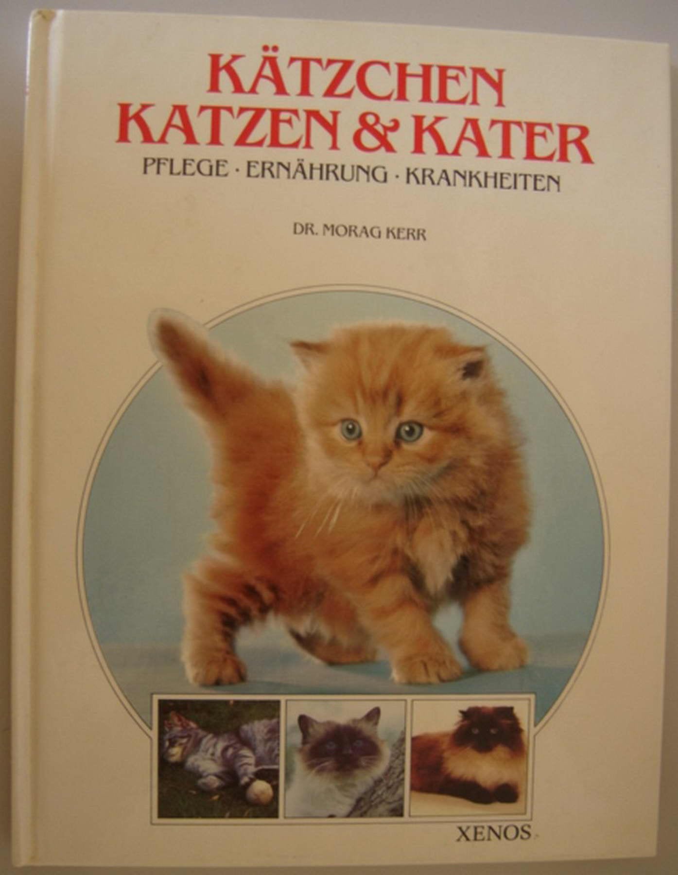 Kätzchen, Katzen und Kater: Pflege, Ernährung, Krankheiten Medicine