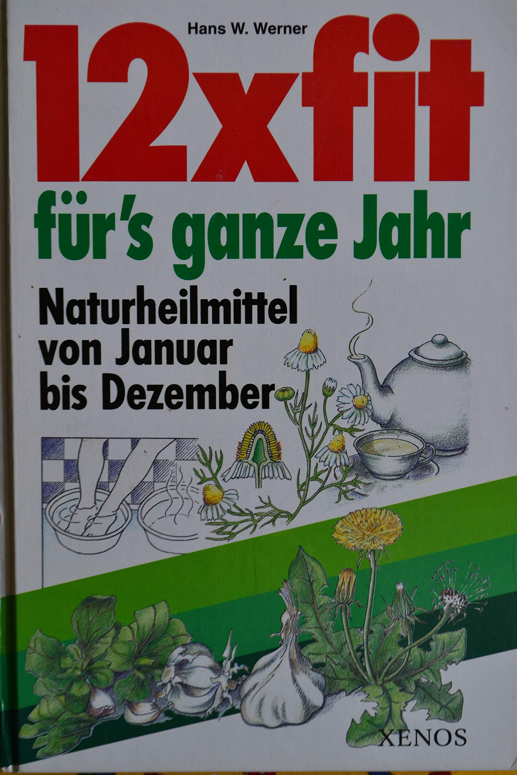 12 x fit für's ganze Jahr: Naturheilmittel von Januar bis Dezember Books