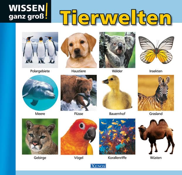 Tierwelten: Wissen ganz Groß! Non-fiction