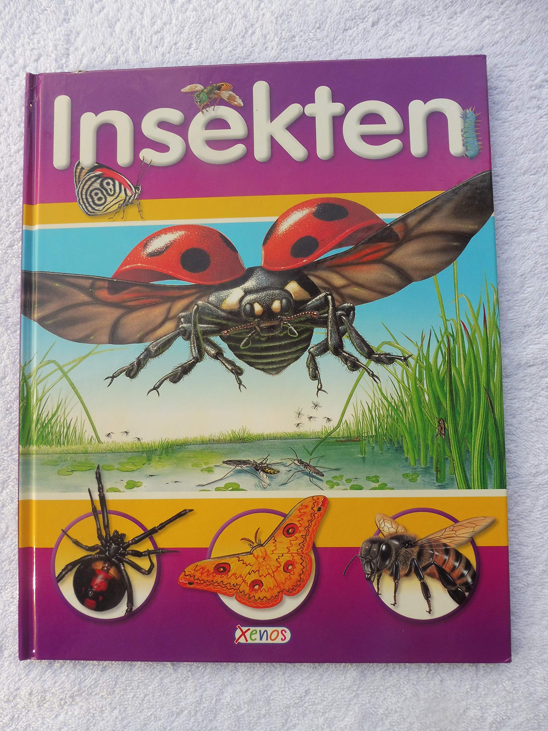 Insekten Natural Sciences