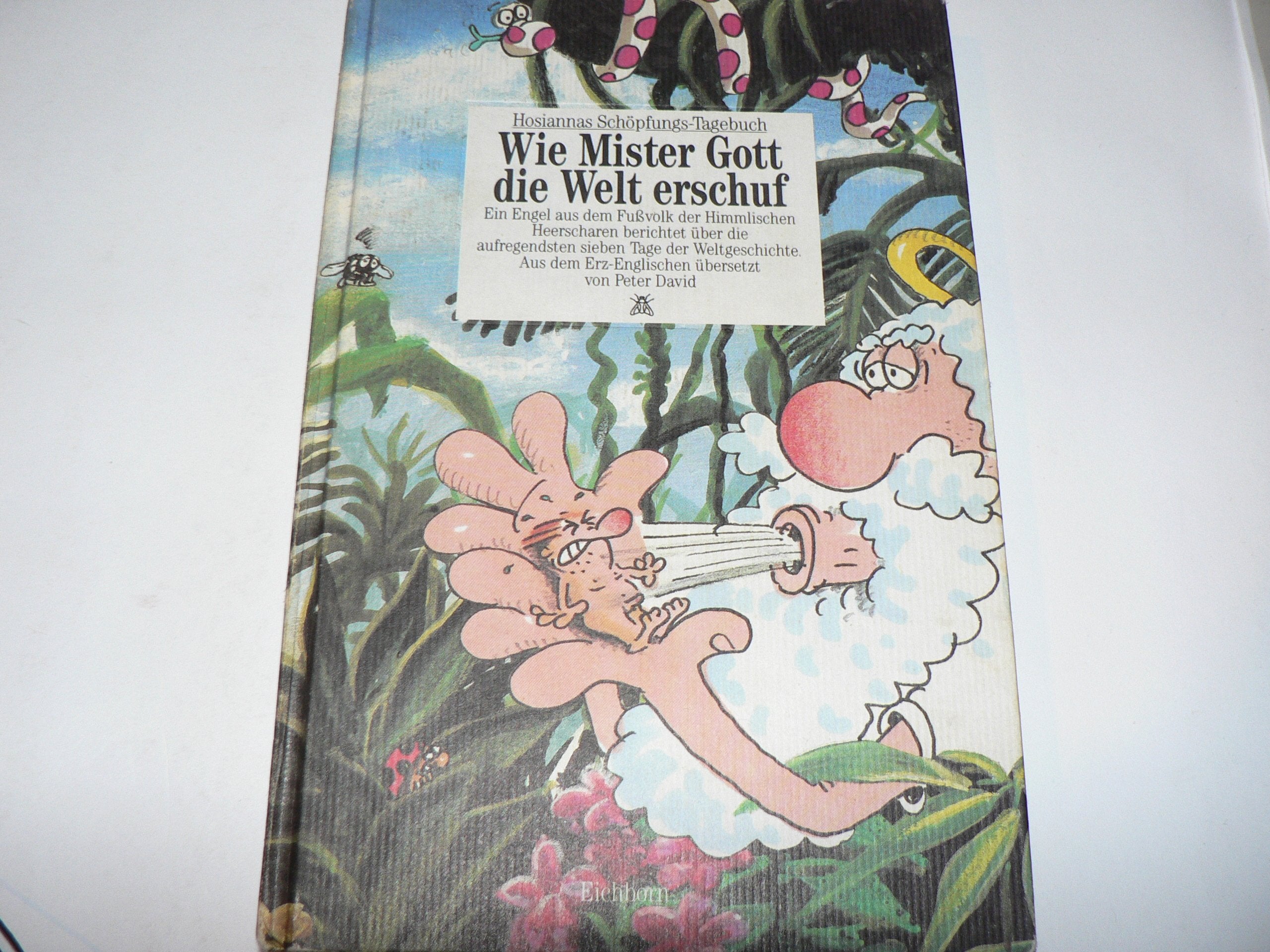 Wie Mister Gott die Welt erschuf: Hosiannas Schöpfungs-Tagebuch. Ein Engel aus dem Fussvolk der Himmlischen Heerscharen berichtet über die aufregendsten sieben Tage der Weltgeschichte Books