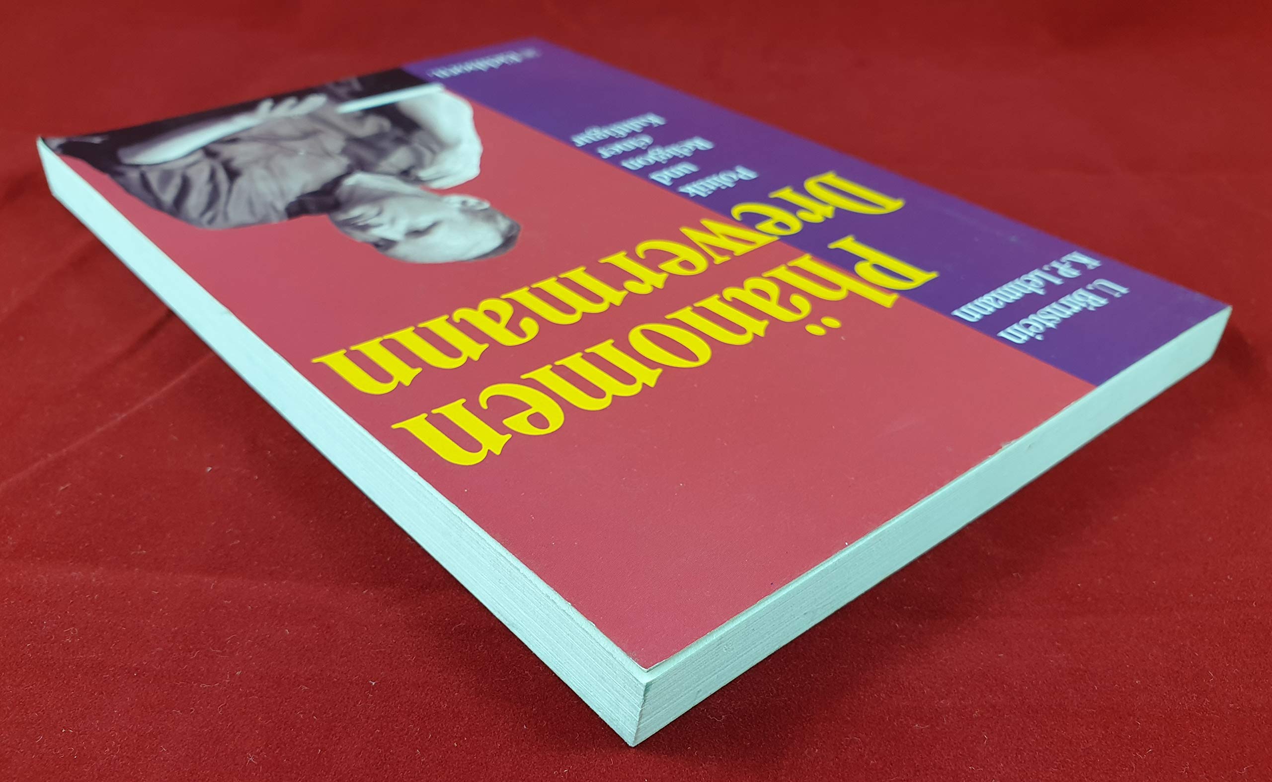Phänomen Drewermann: Politik und Religion einer Kultfigur Social Sciences