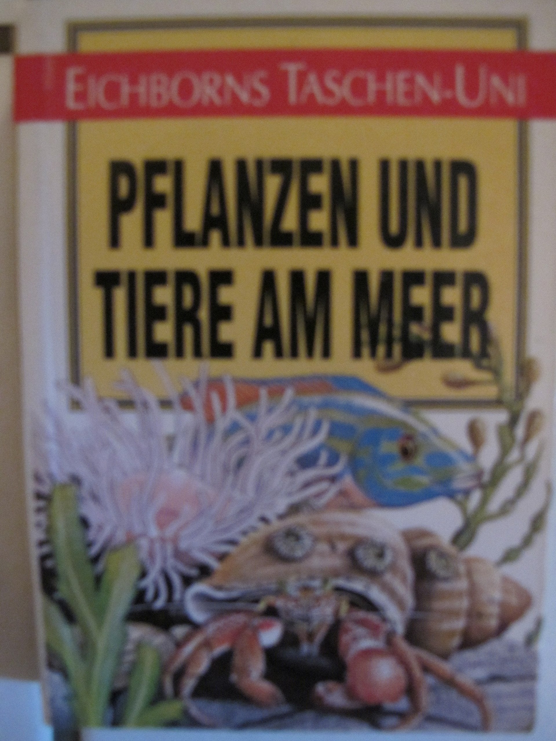 Pflanzen und Tiere am Meer (Eichborns Taschen-Uni) Leisure, Home & Garden