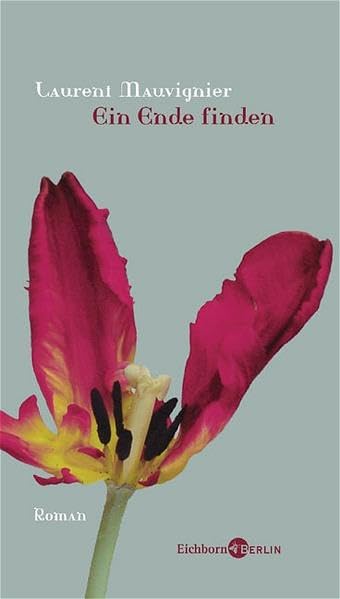 Ein Ende finden: Roman Contemporary literature
