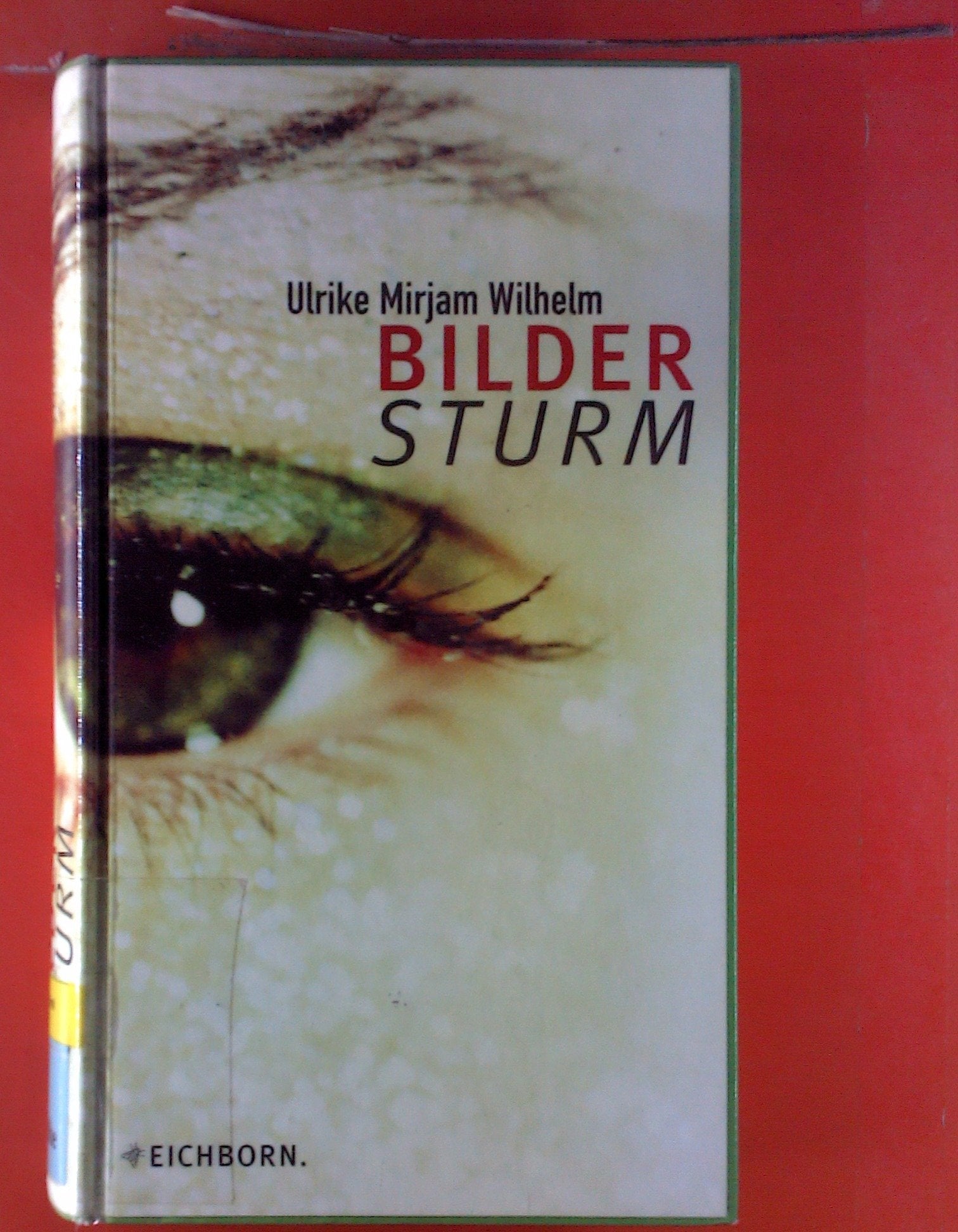 Bildersturm: Kriminalroman Crime & Thrillers