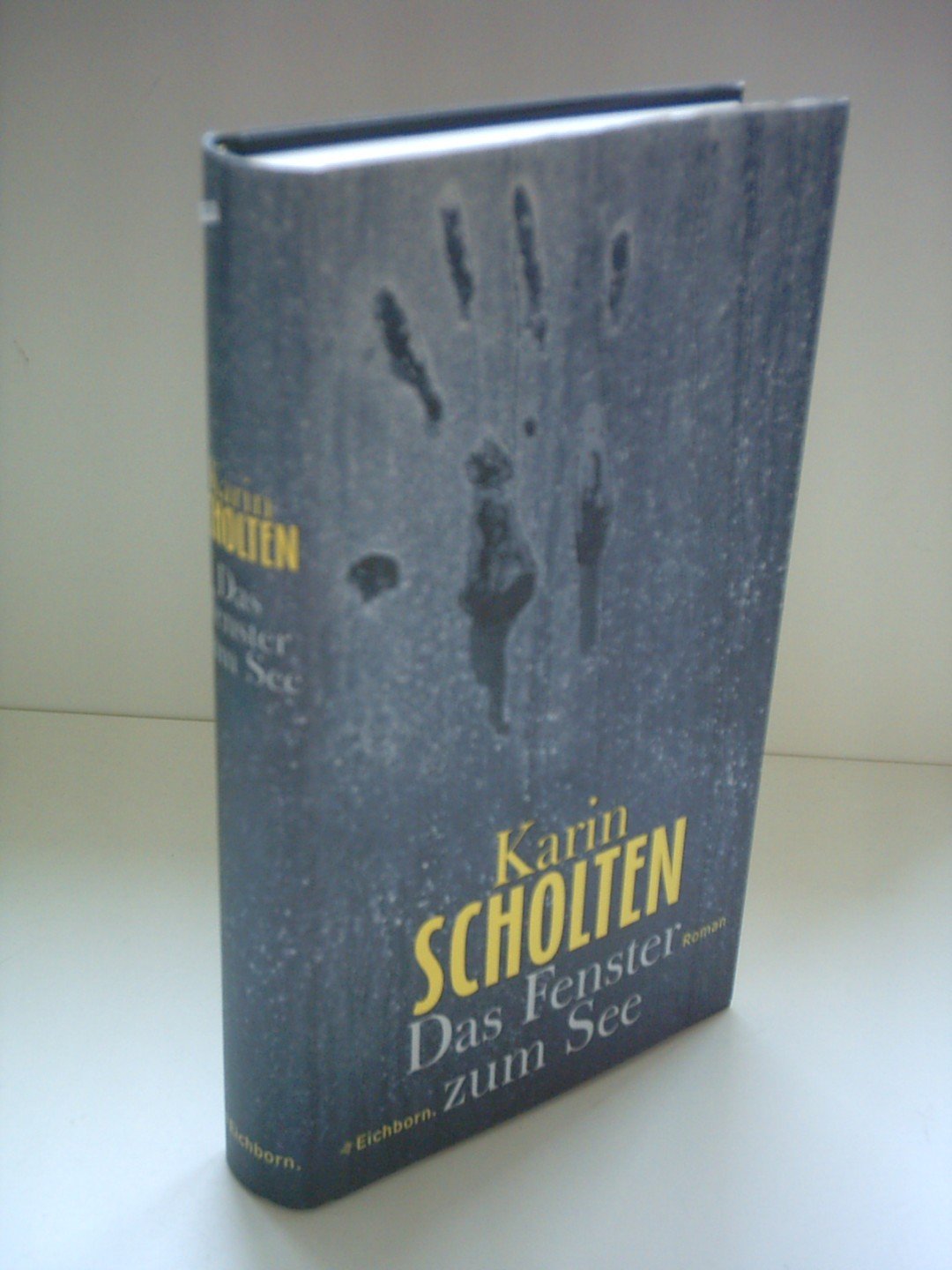 Das Fenster zum See: Roman Contemporary literature