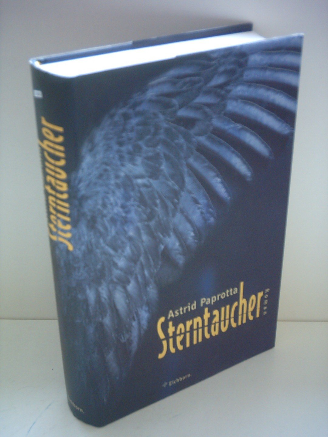 Sterntaucher: Roman Contemporary literature