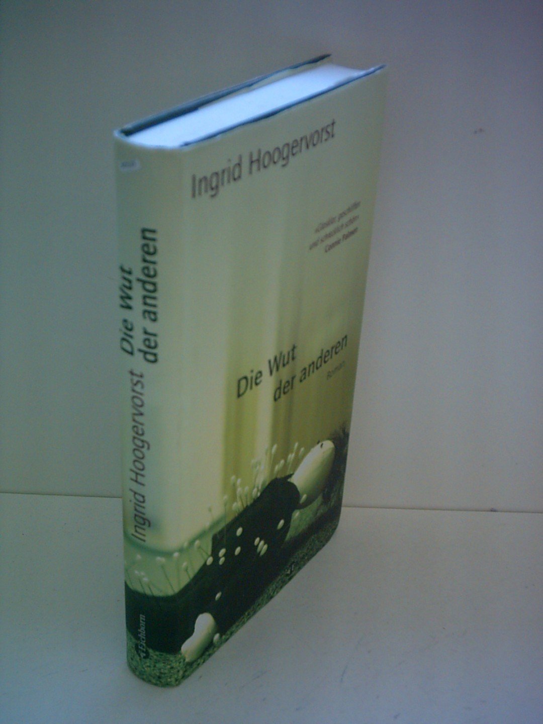 Die Wut der anderen: Roman Contemporary literature