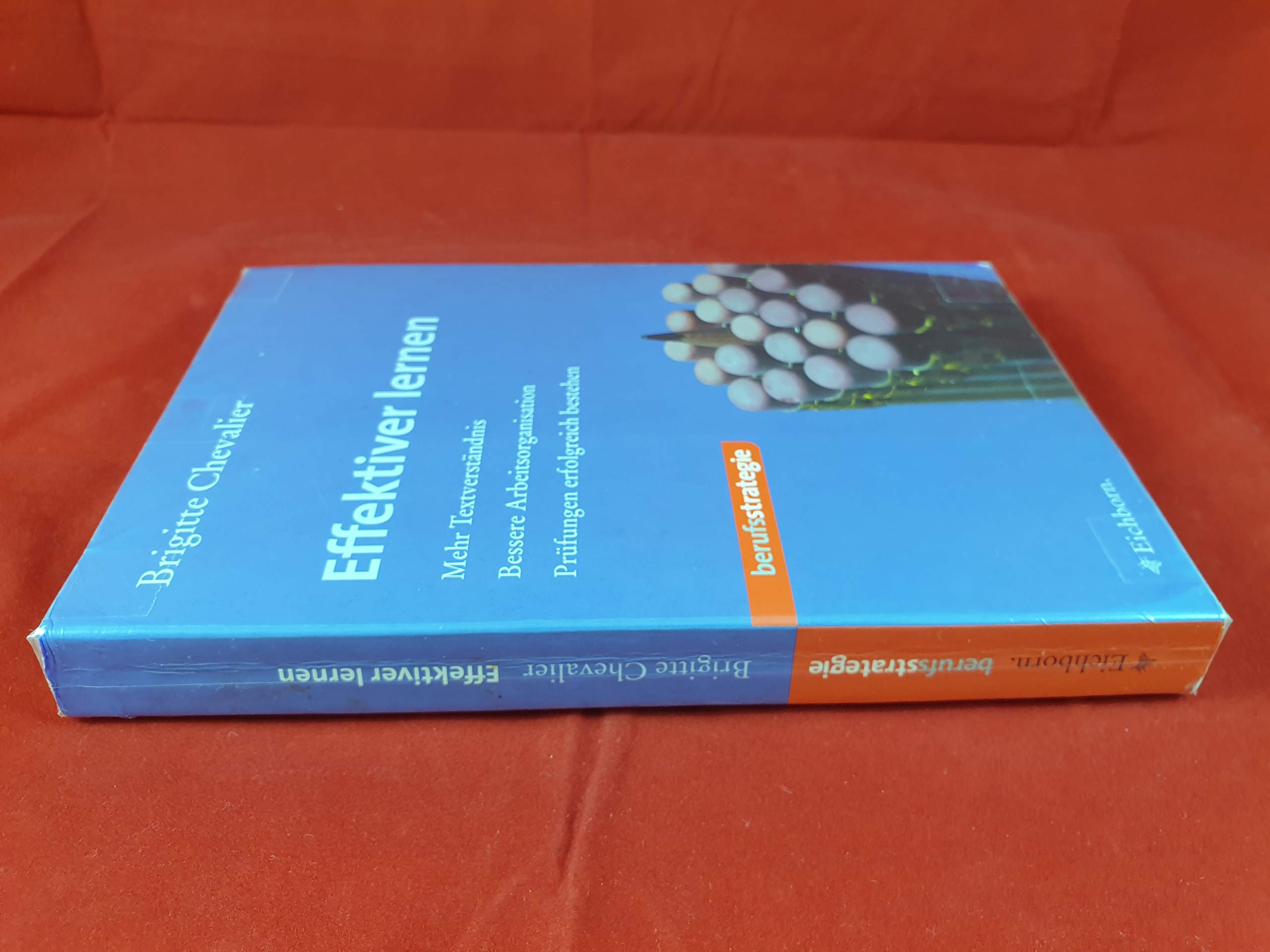 Effektiver lernen: die eigenen Fähigkeiten erkennen, Textverständnis und Lesekapazität erhöhen, Nutzen aus einer Vorlesung ziehen, ... Arbeiten und mündliche Prüfungen bewältigen Business, Finance & Career
