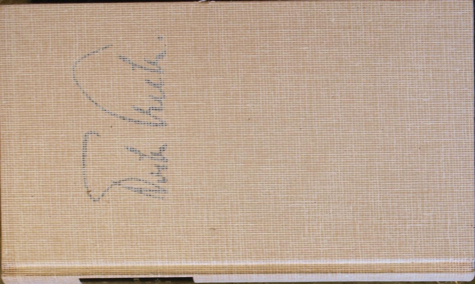 Tagebuch eines Verzweifelten (Die Andere Bibliothek) Essays & Short Stories