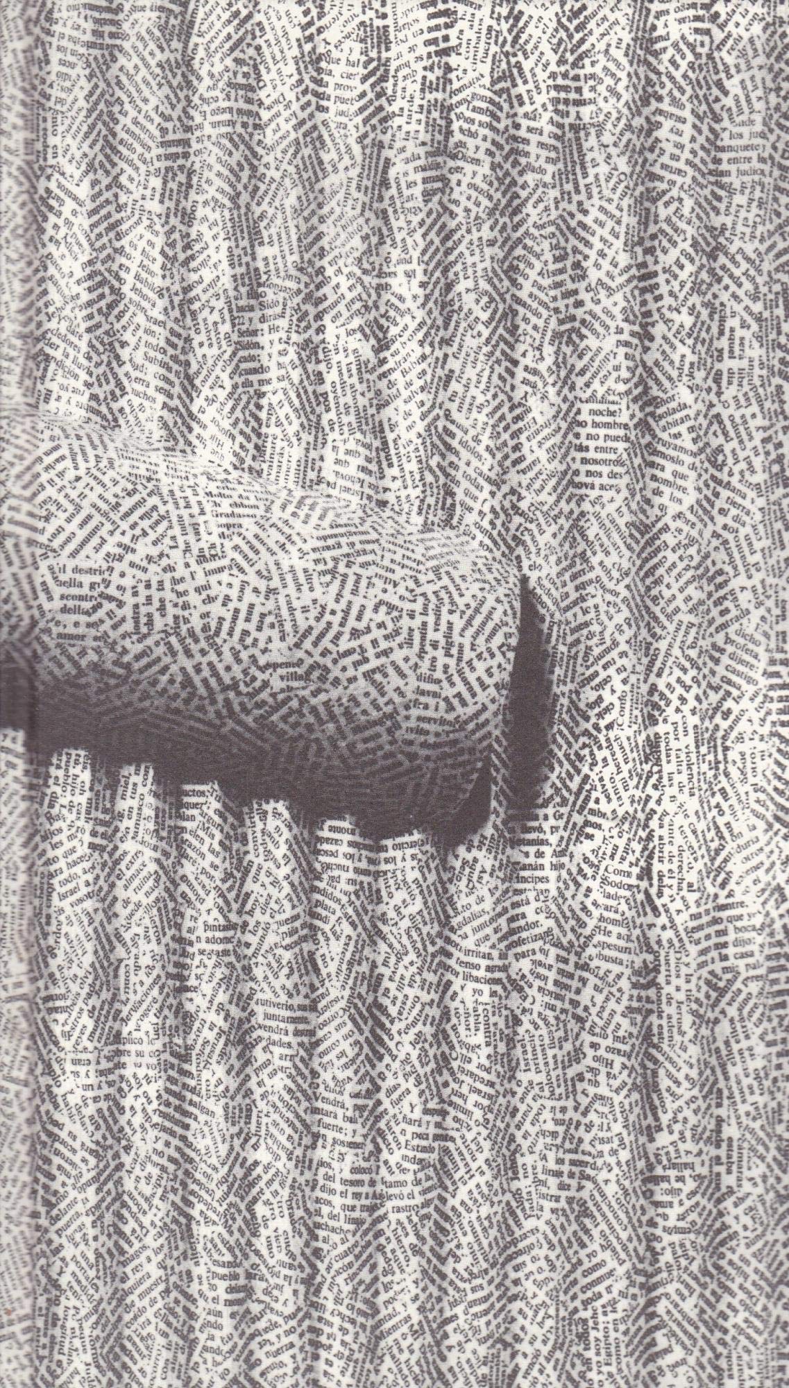 Übersetzen: Ein Vademecum (Die Andere Bibliothek) Art & Literature